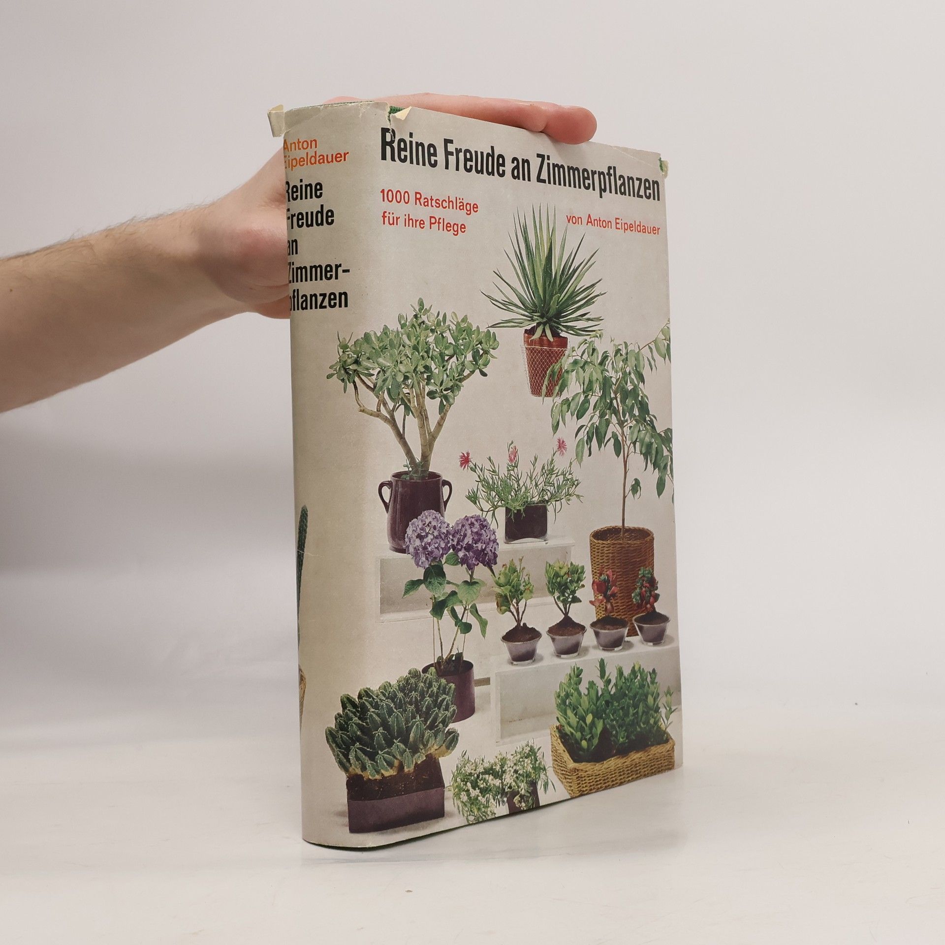 Anton Eipeldauer Reine Freude an Zimmerpflanzen