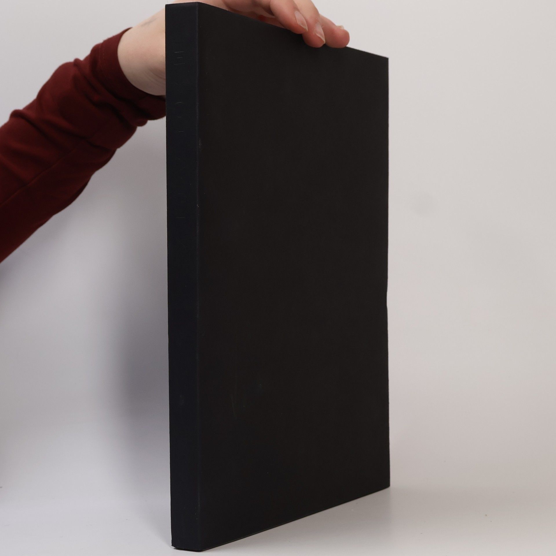 Libuše Jarcovjáková Evokativ