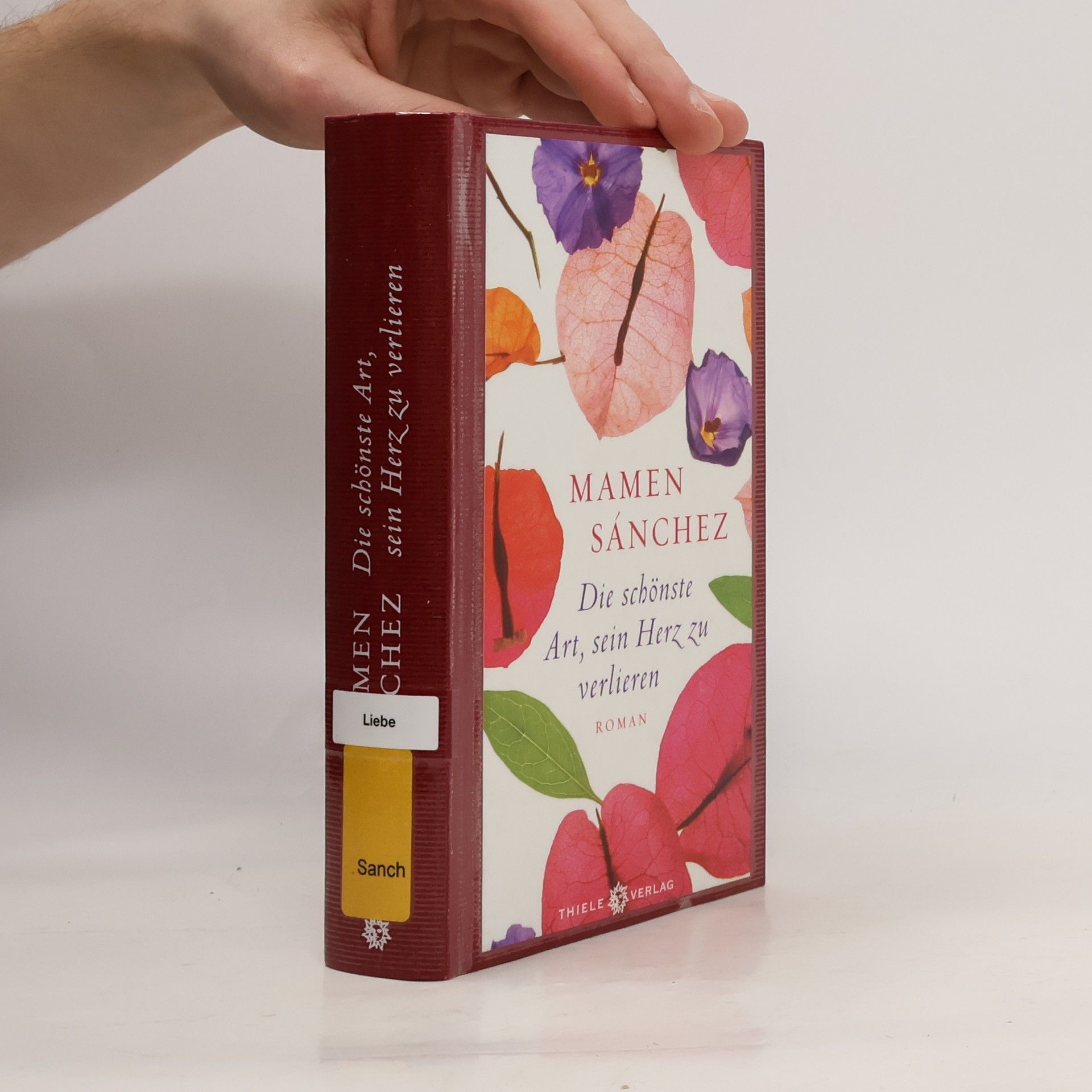 Mamen Sánchez Die schönste Art, sein Herz zu verlieren