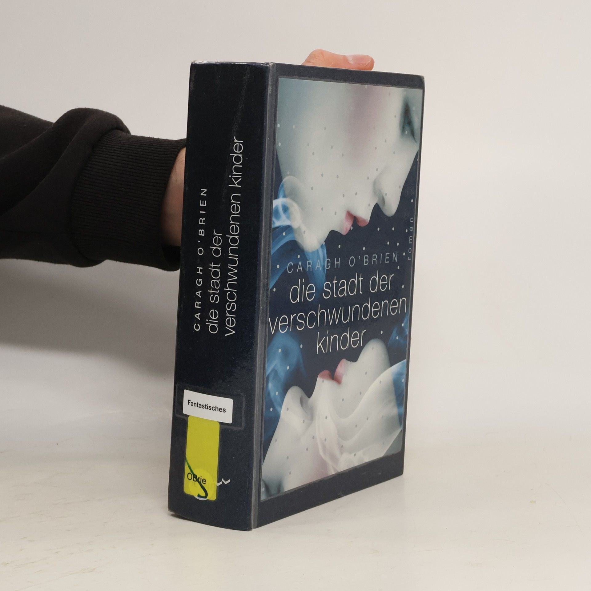 Oliver Plaschka Die Stadt der verschwundenen Kinder