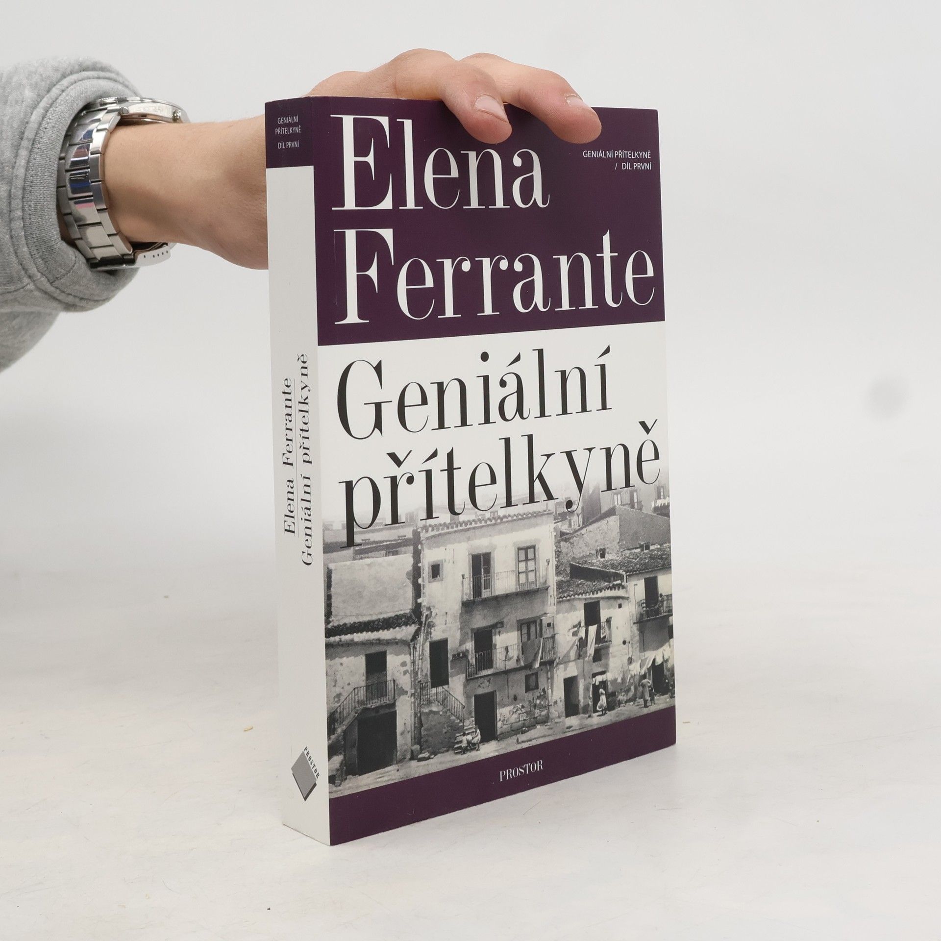 Elena Ferrante Geniální přítelkyně 1. Dětství a dospívání