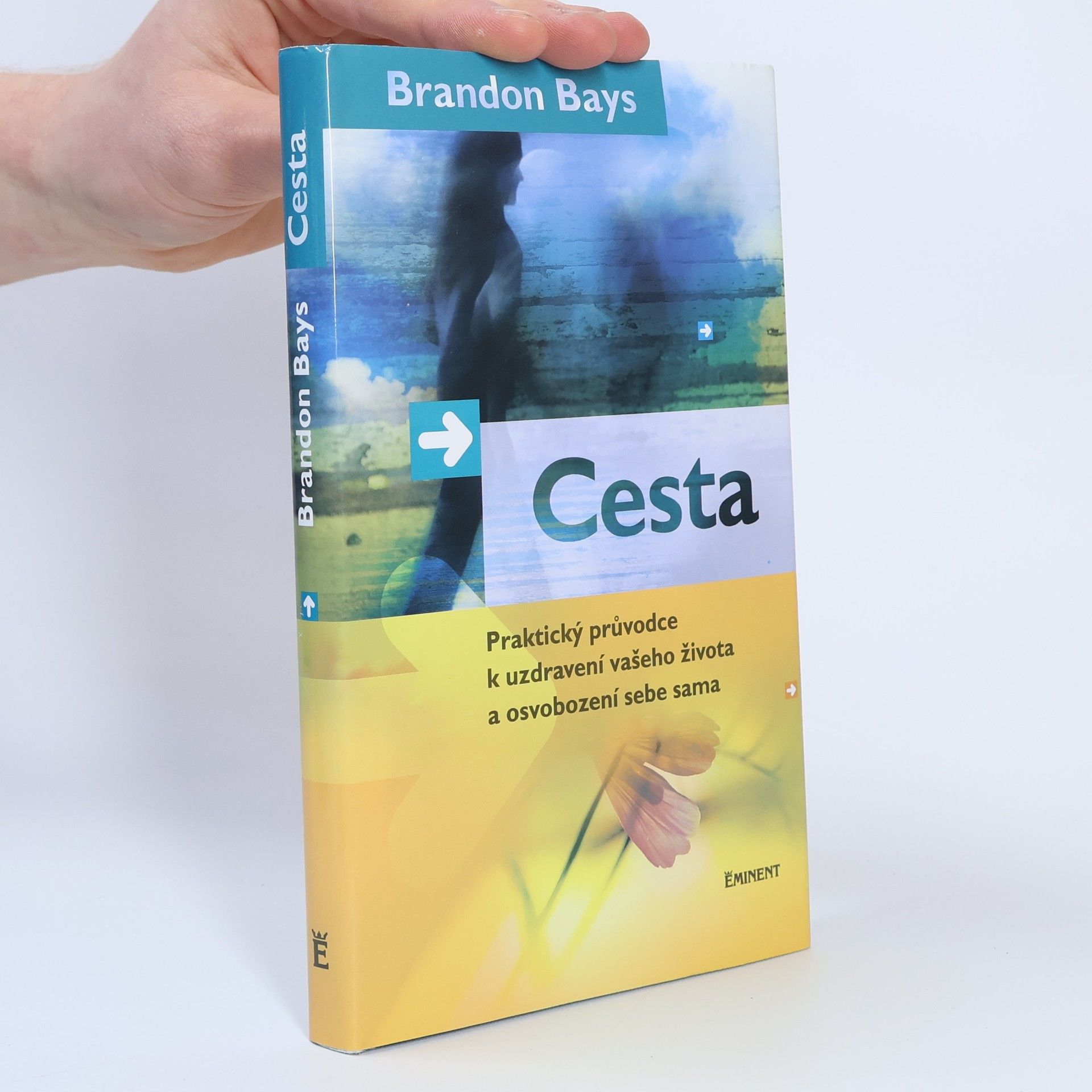 Brandon Bays Cesta