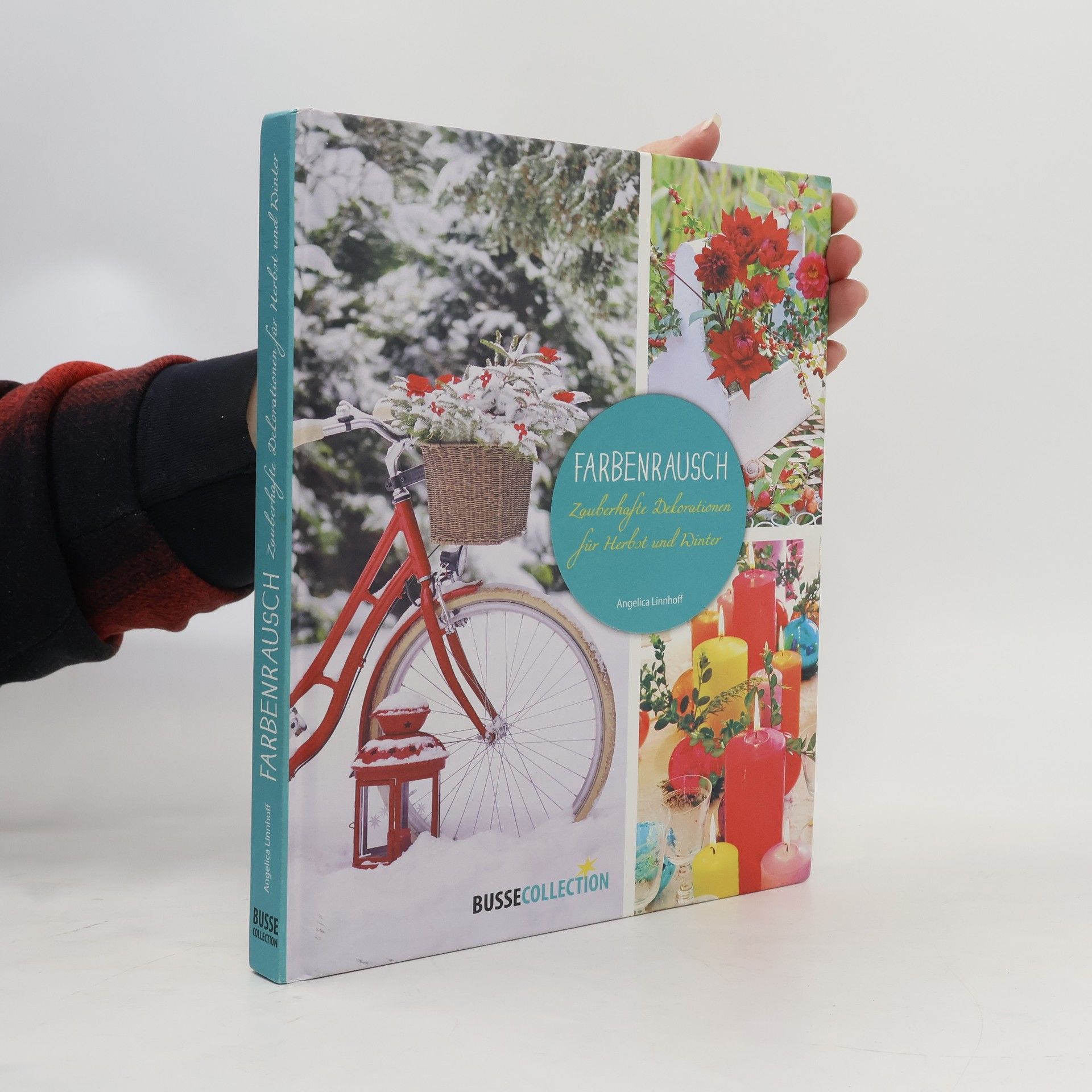 Angelica Linnhoff Farbenrausch