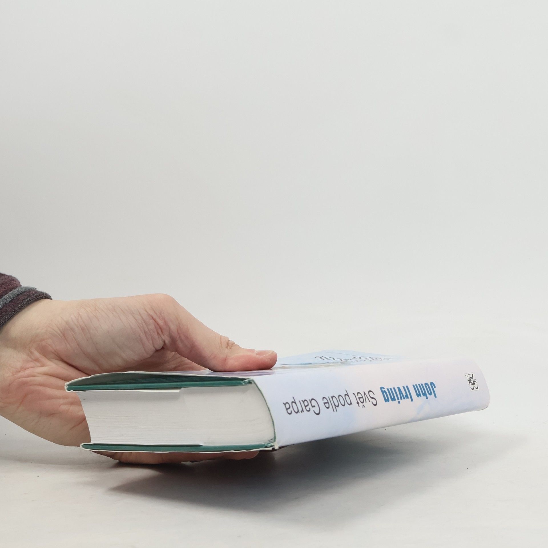 John Irving Svět podle Garpa