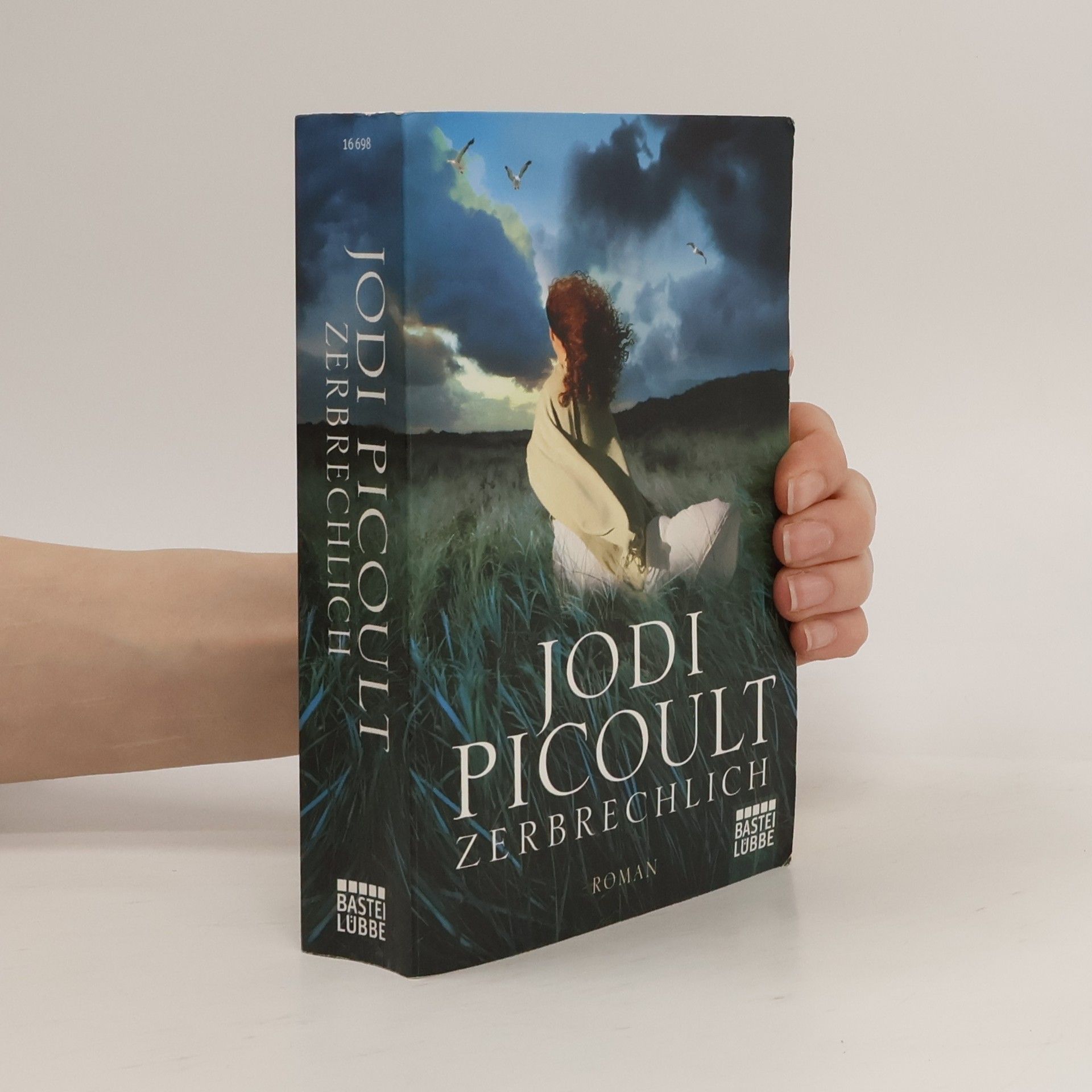 Jodi Picoult Zerbrechlich