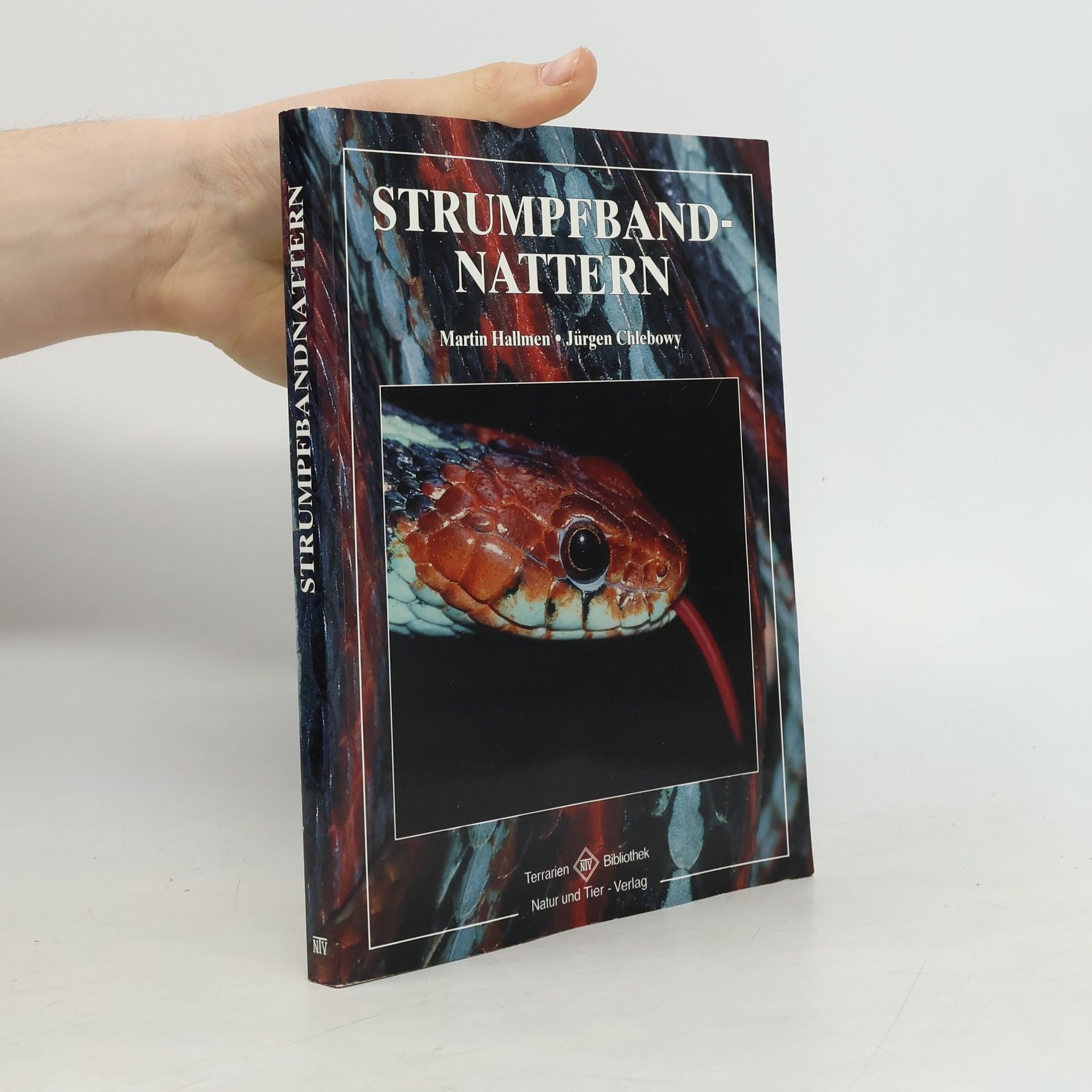 Martin Hallmen Strumpfbandnattern