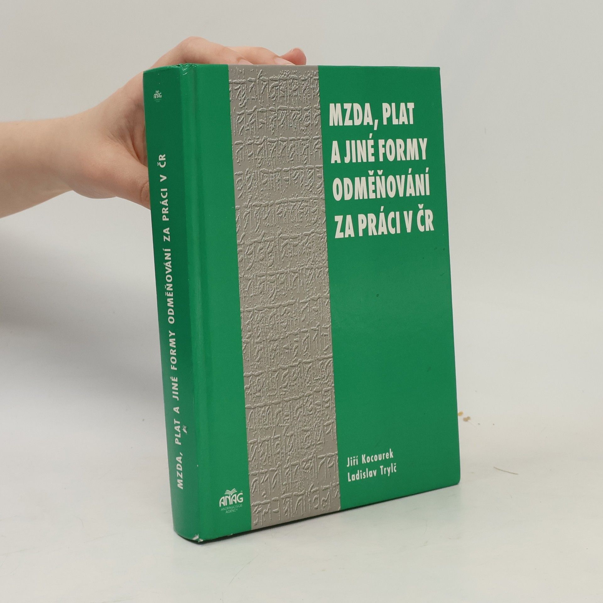 Jiří Kocourek Mzda, plat a jiné formy odměňování za práci v České republice