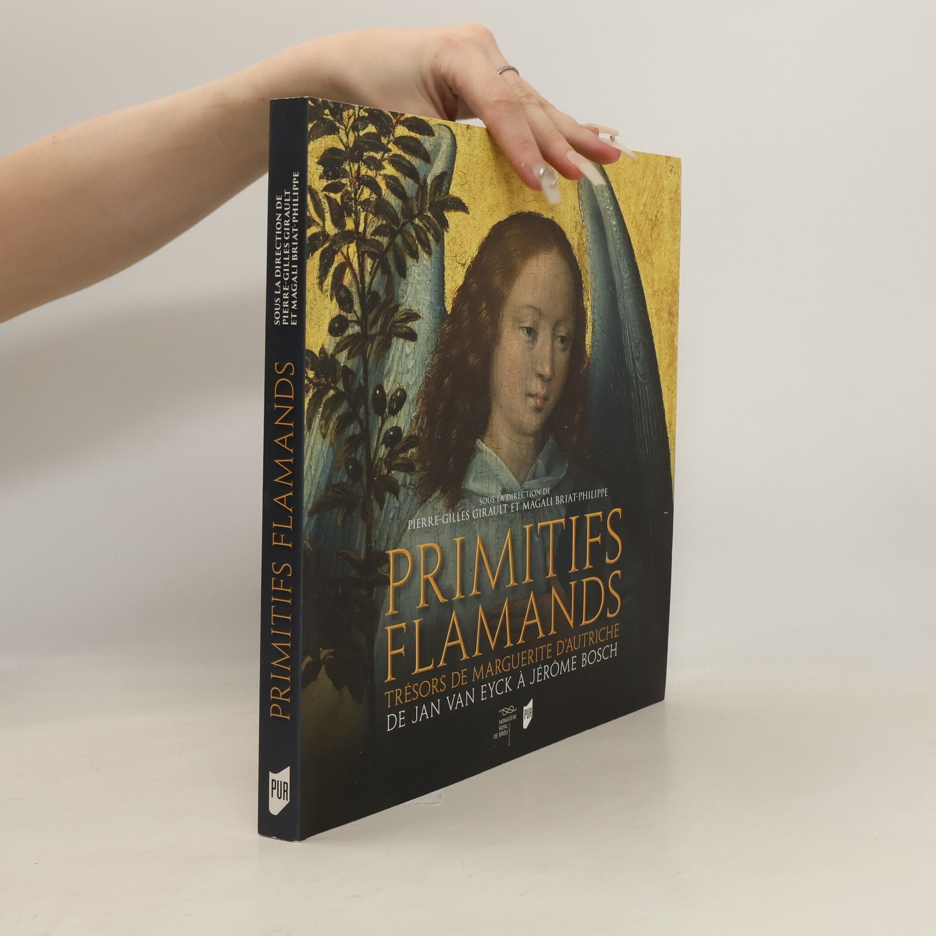Pierre Gilles Girault Primitifs flammands