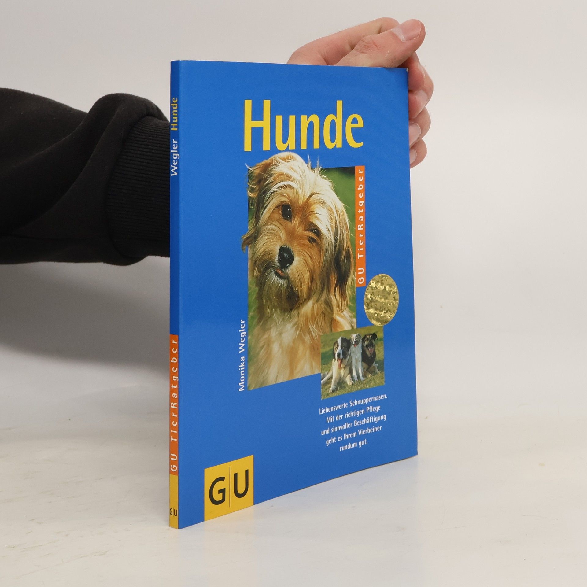 Hunde richtig pflegen und verstehen