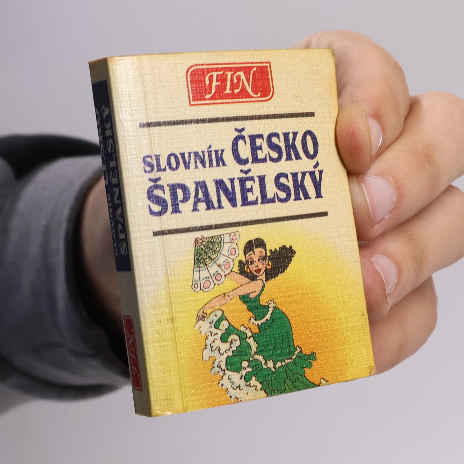 Autorenkollektiv Česko-španělský slovník