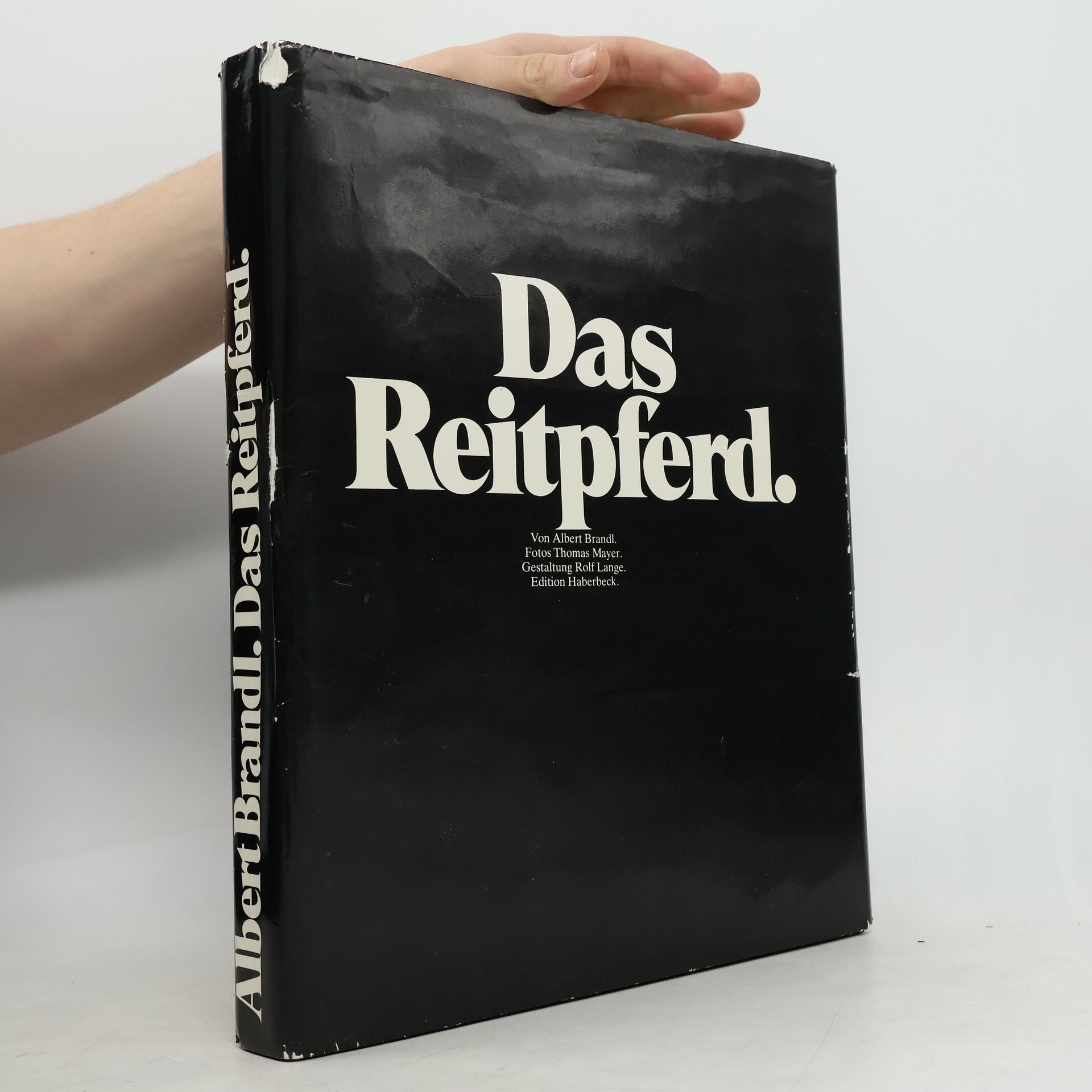 Albert Brandl Das Reitpferd