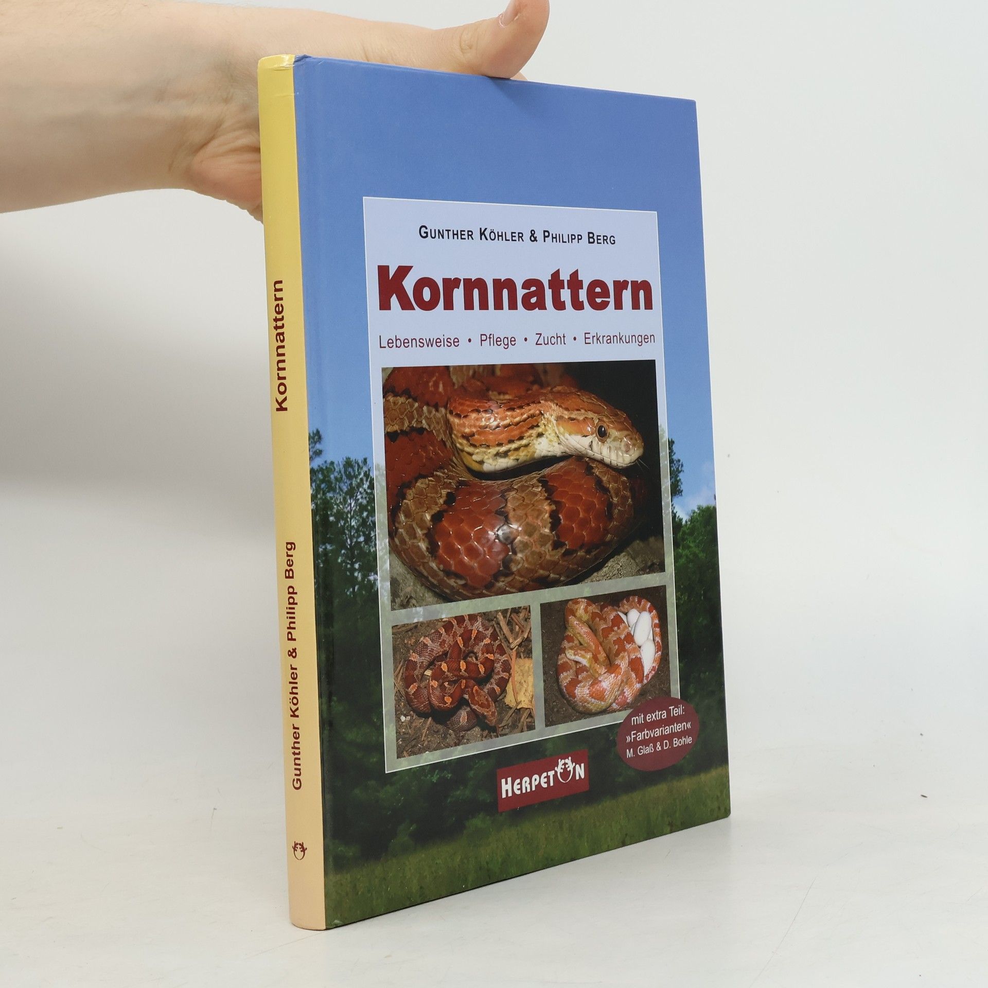 Kornnattern