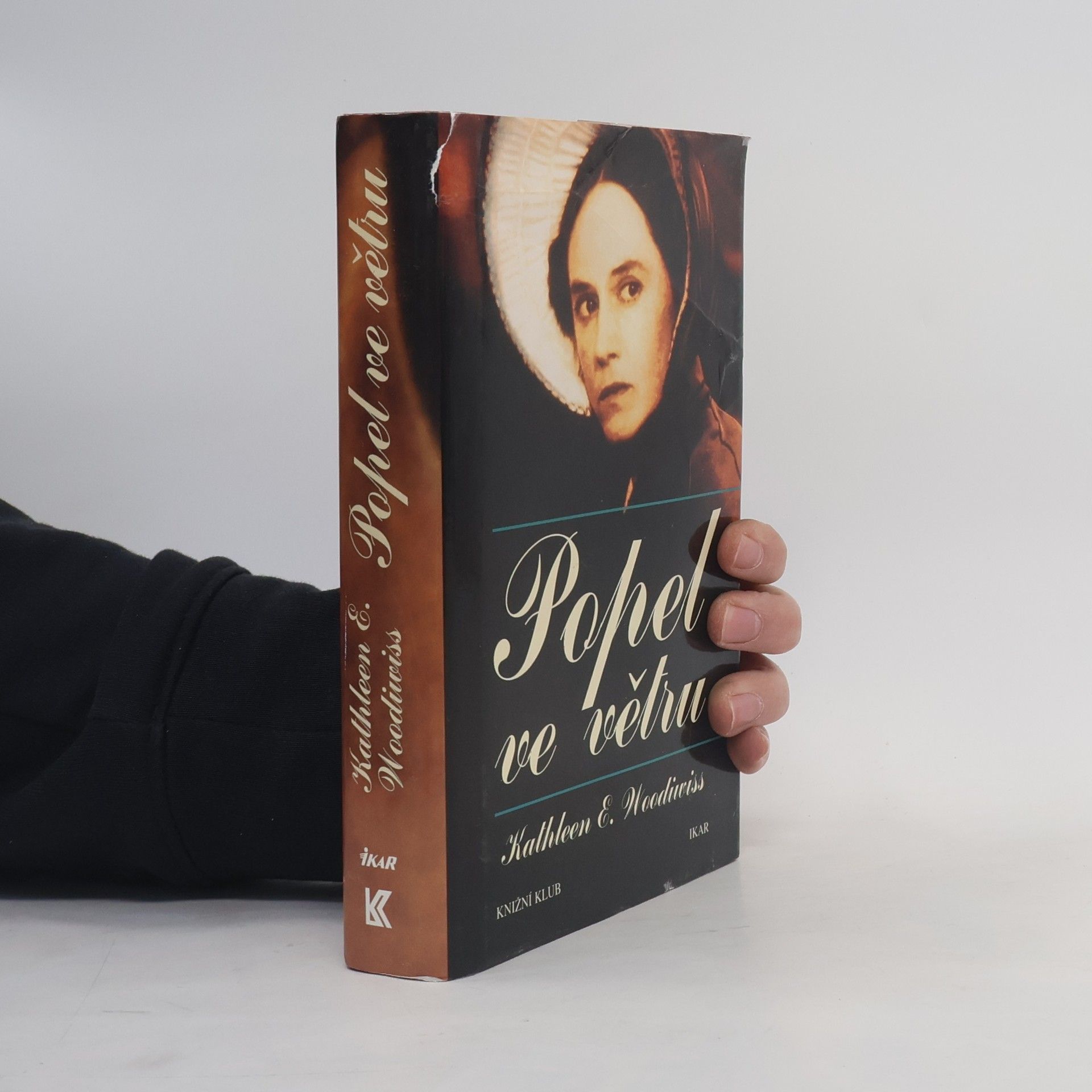 Kathleen E. Woodiwiss Popel ve větru