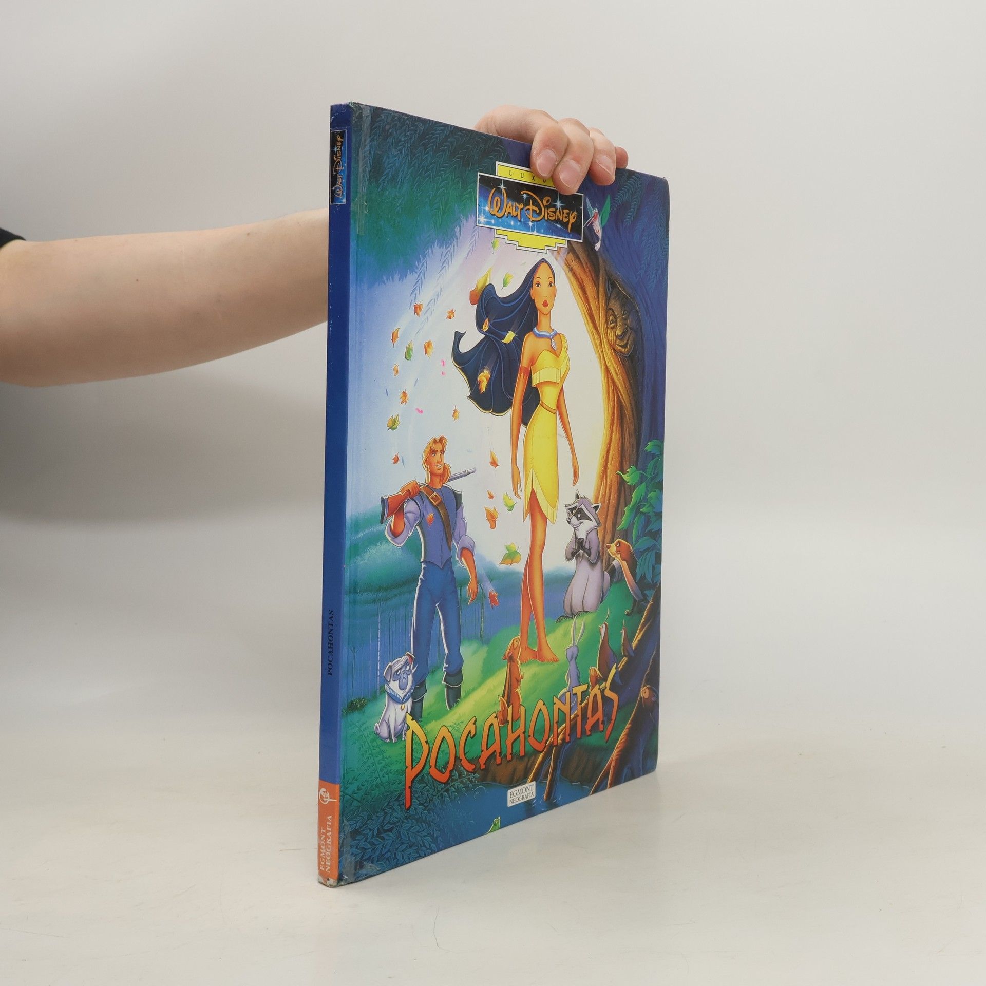 Walt Disney Pocahontas