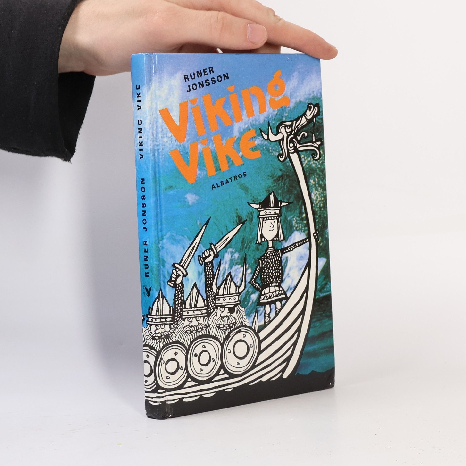 Pavel Rajský Viking Vike