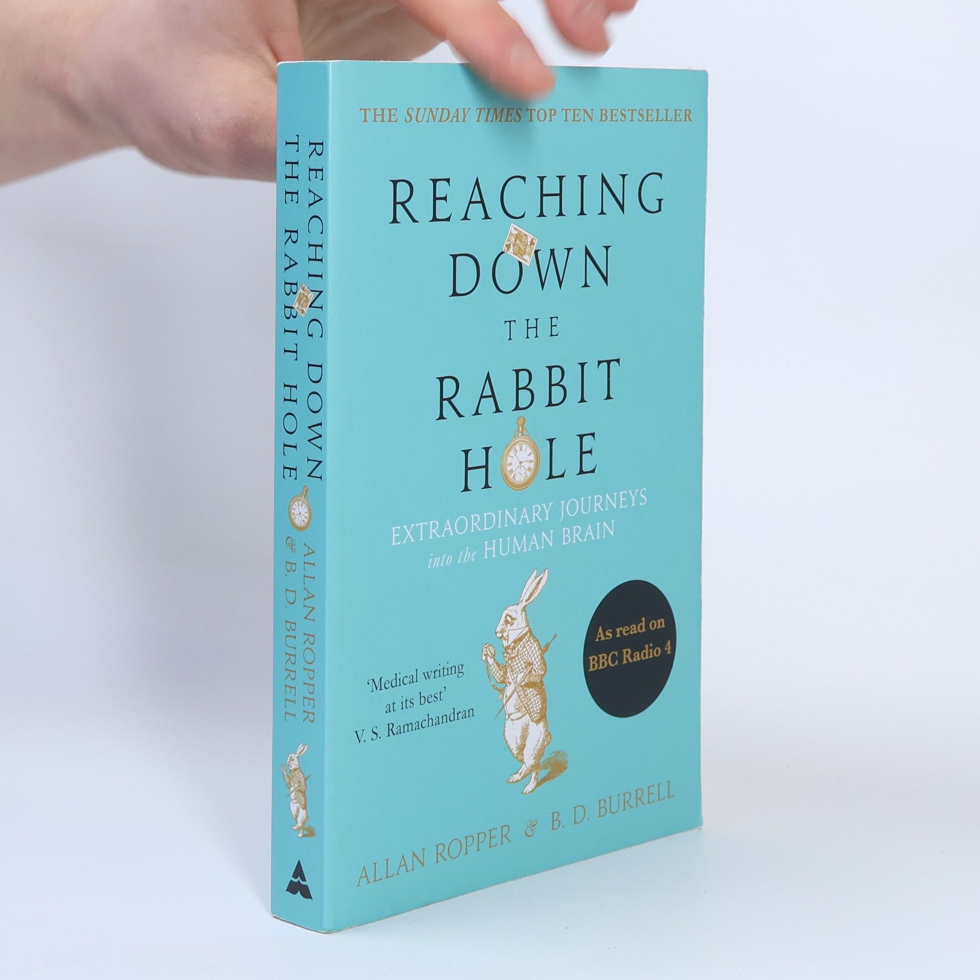 Brian Burrell Reaching down the rabbit hole