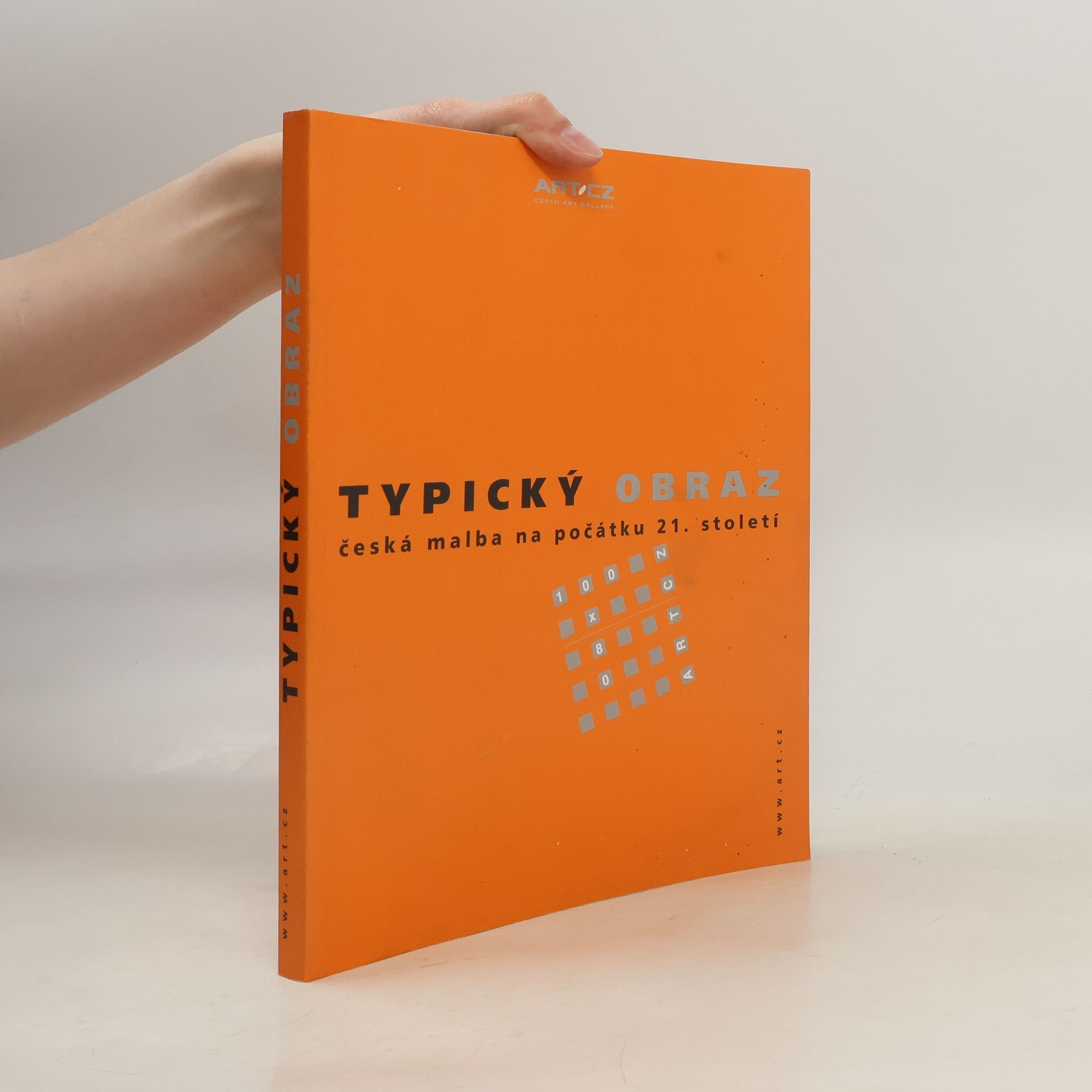 Autorenkollektiv Typický obraz. Česká malba na počátku 21. století