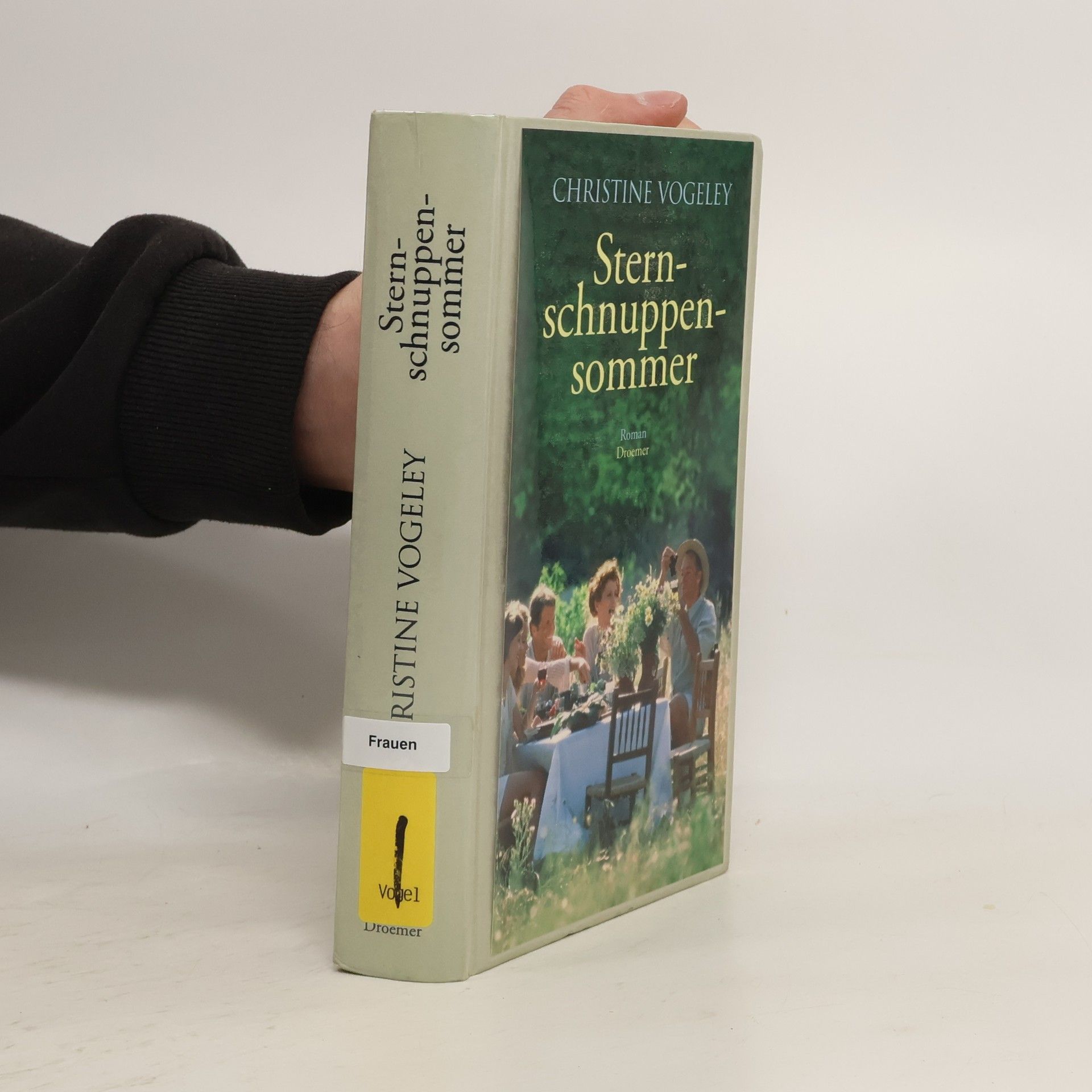 Christine Vogeley Sternschnuppensommer