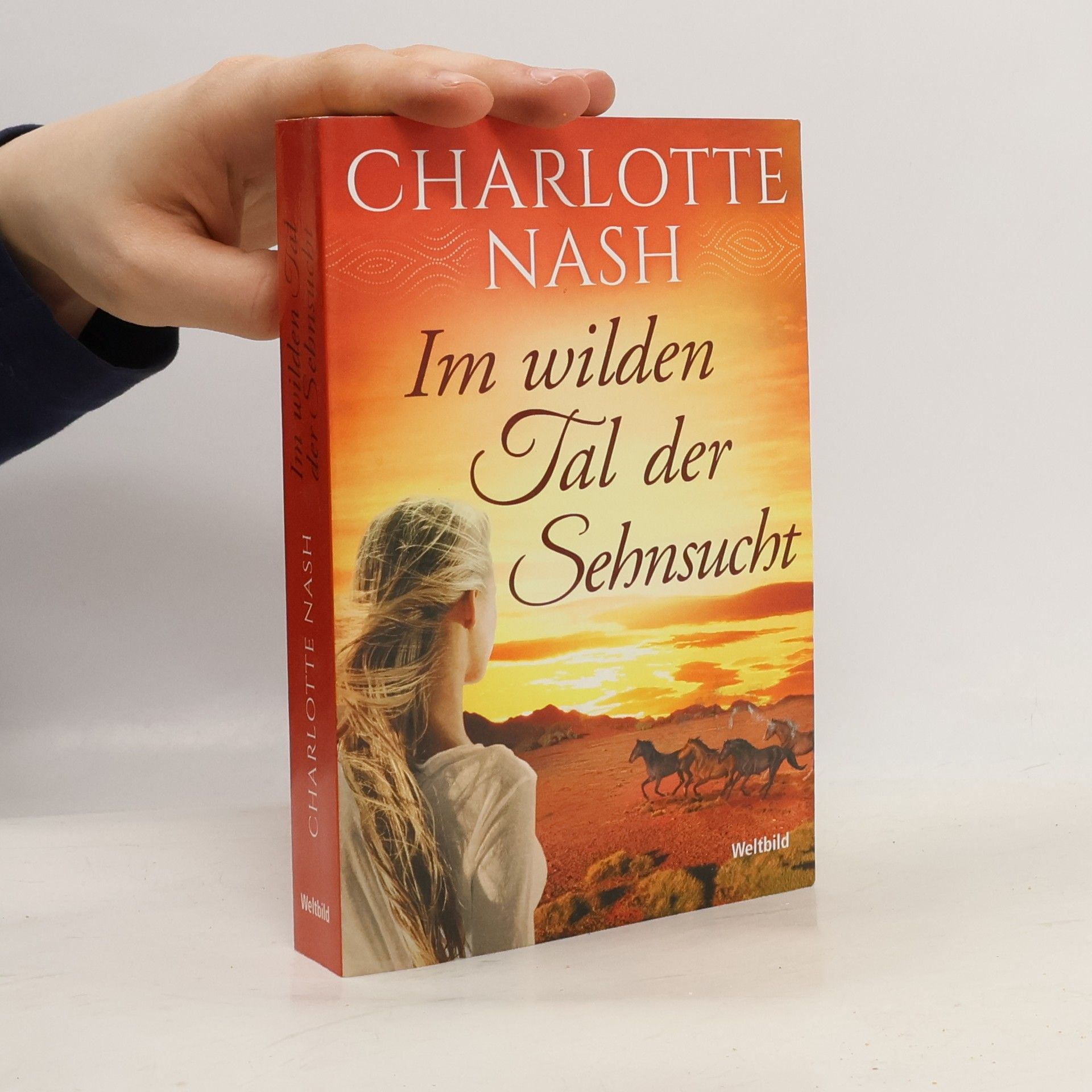 Charlotte Nash Im wilden Tal der Sehnsucht