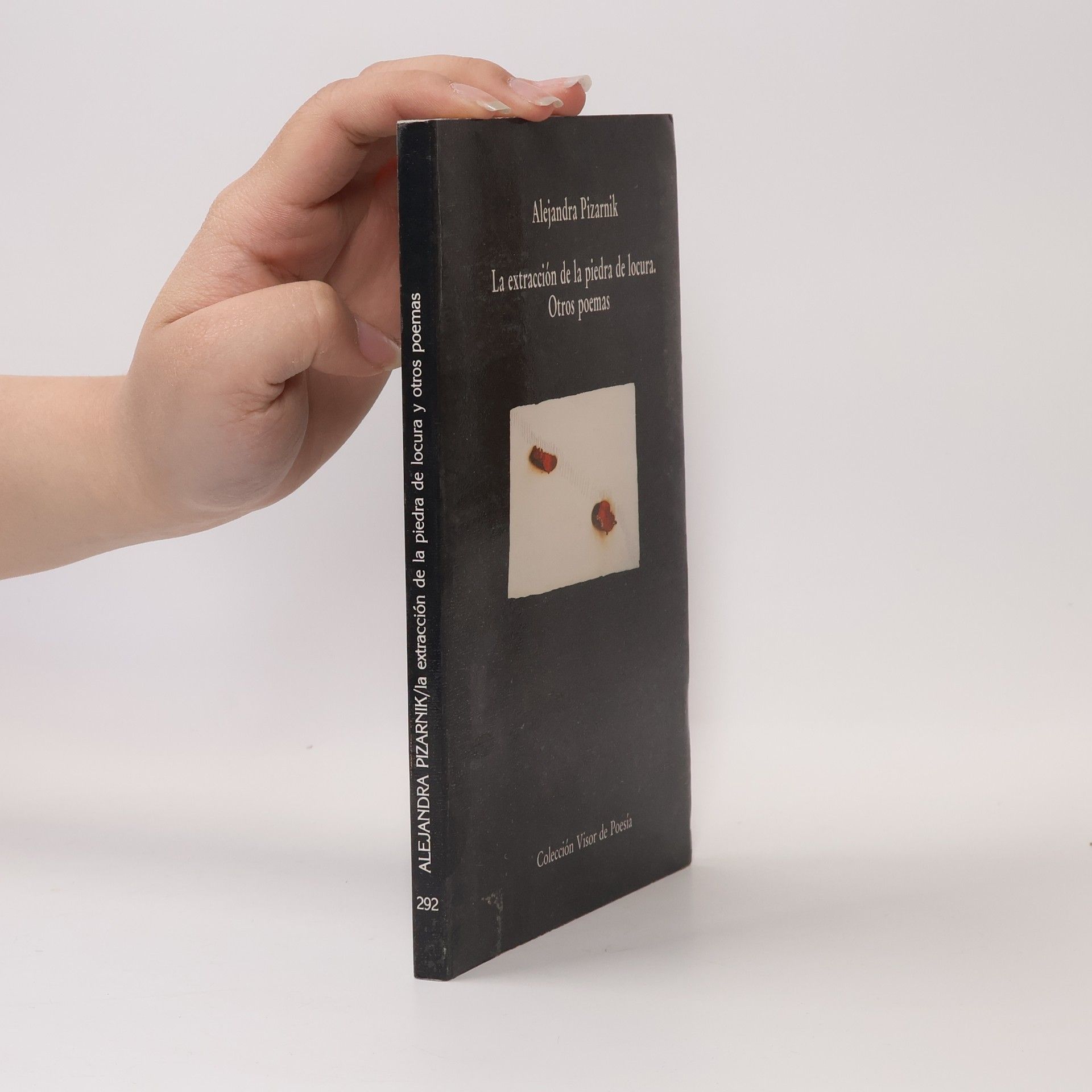 Alejandra Pizarniková Colección Visor de Poesía: La extracción de la piedra de la locura y otros poemas