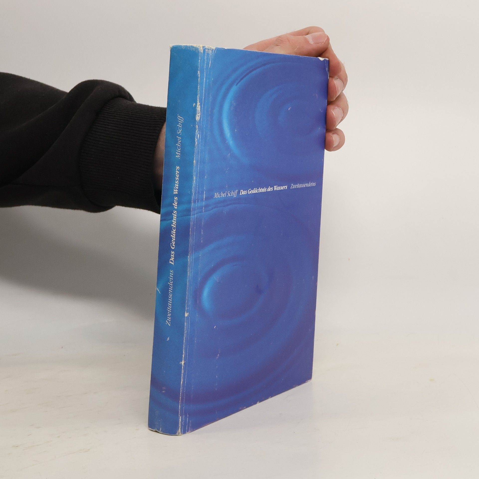 Michel Schiff Das Gedächtnis des Wassers