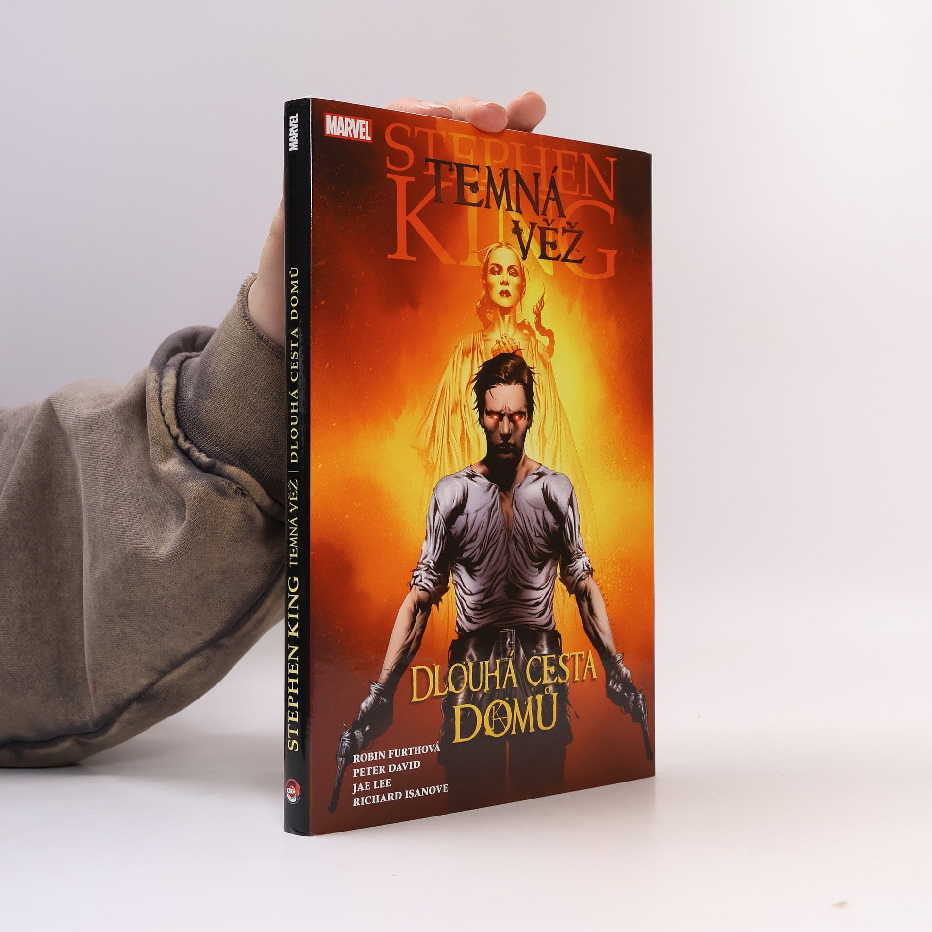 P. David Temná věž. Dlouhá cesta domů