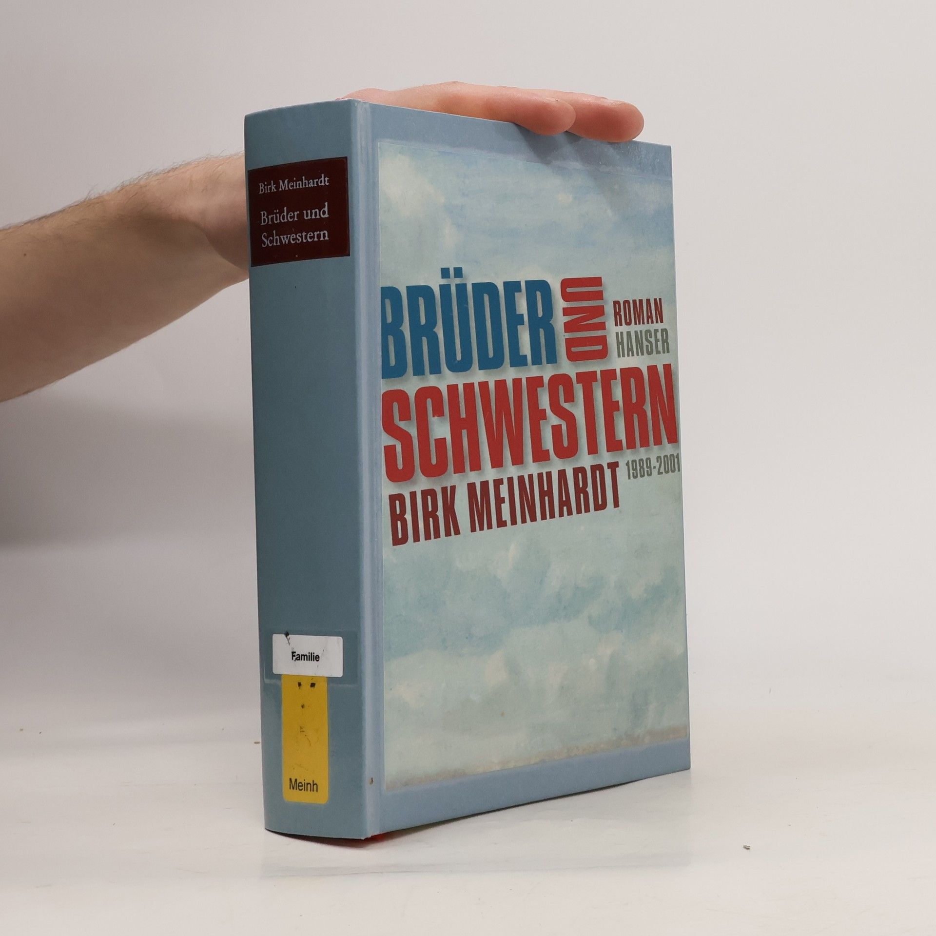 Birk Meinhardt Brüder und Schwestern. Die Jahre 1989-2001