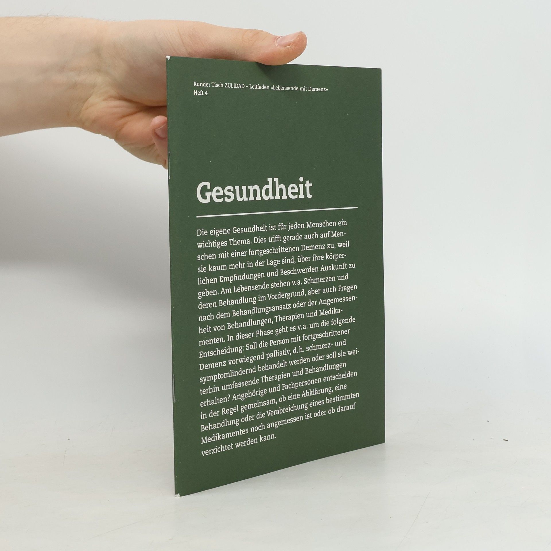 Runder Tisch ZULIDAD - 4: Lebensende mit Demenz
