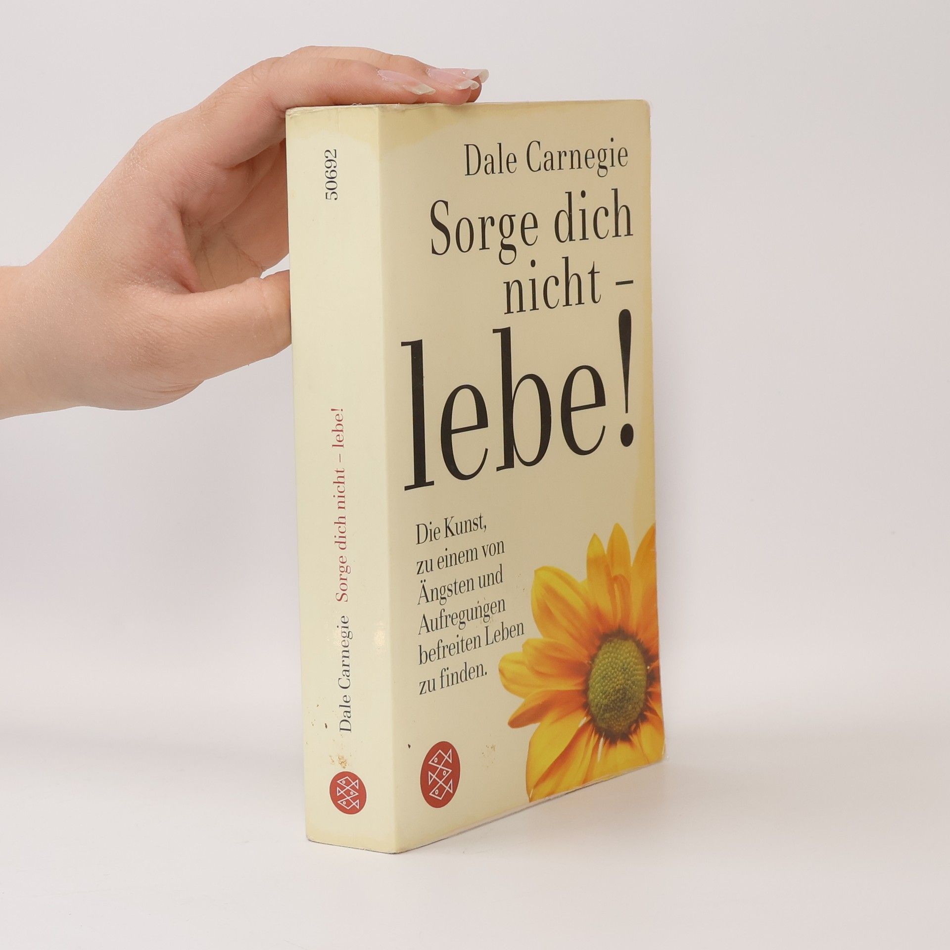 Dale Carnegie Sorge dich nicht - lebe!