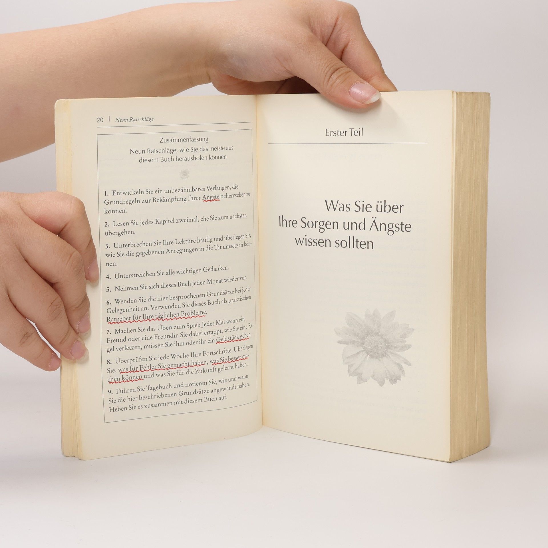 Dale Carnegie Sorge dich nicht - lebe!