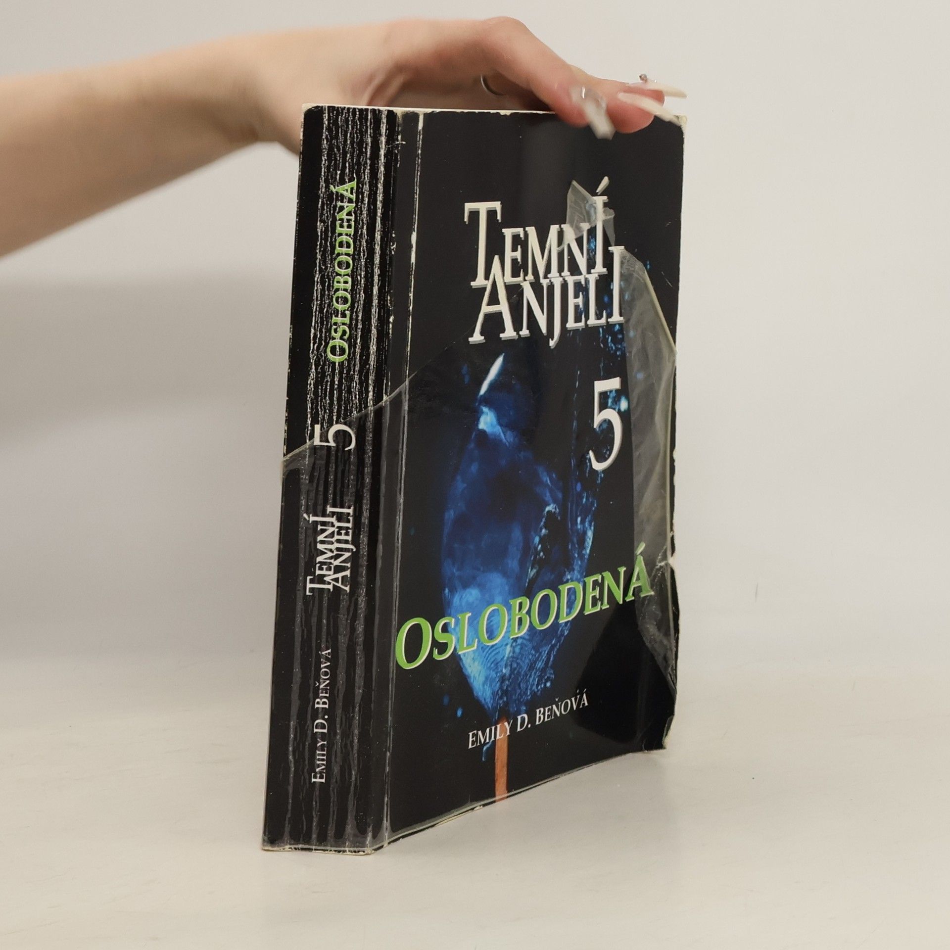 Emily D. Beňová Temní anjeli 5
