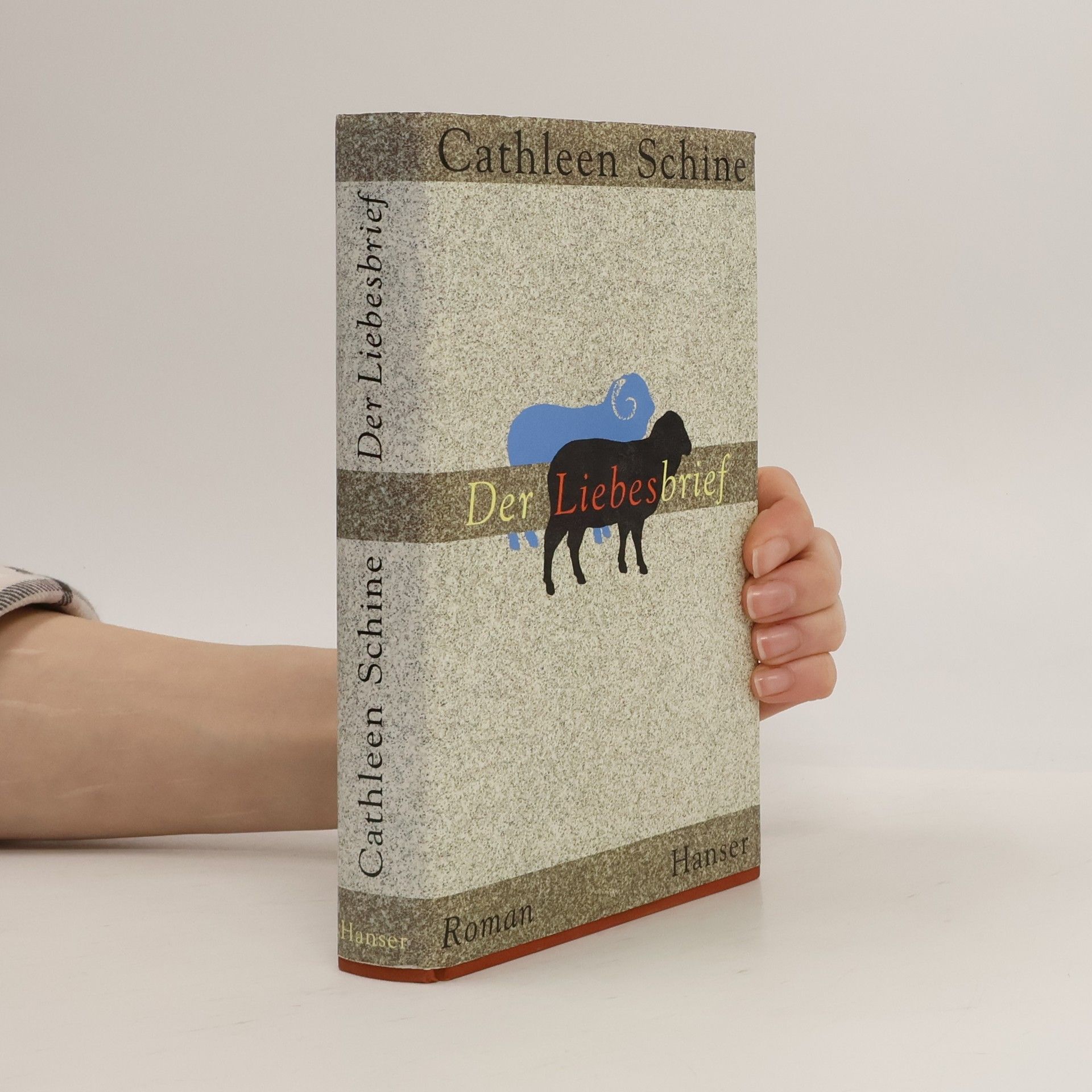 Cathleen Schine Der Liebesbrief