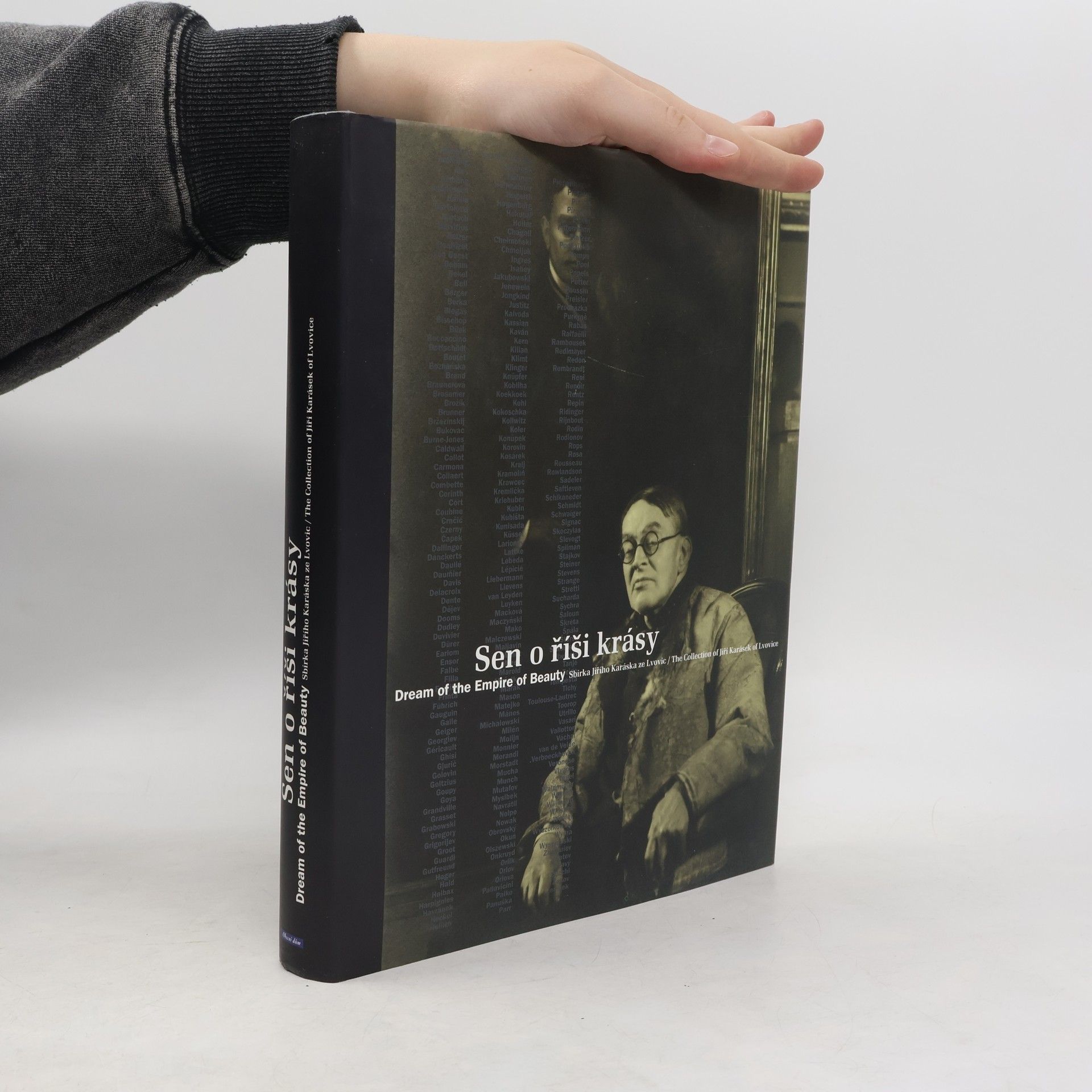 Kolektív autorov Sen o říši krásy