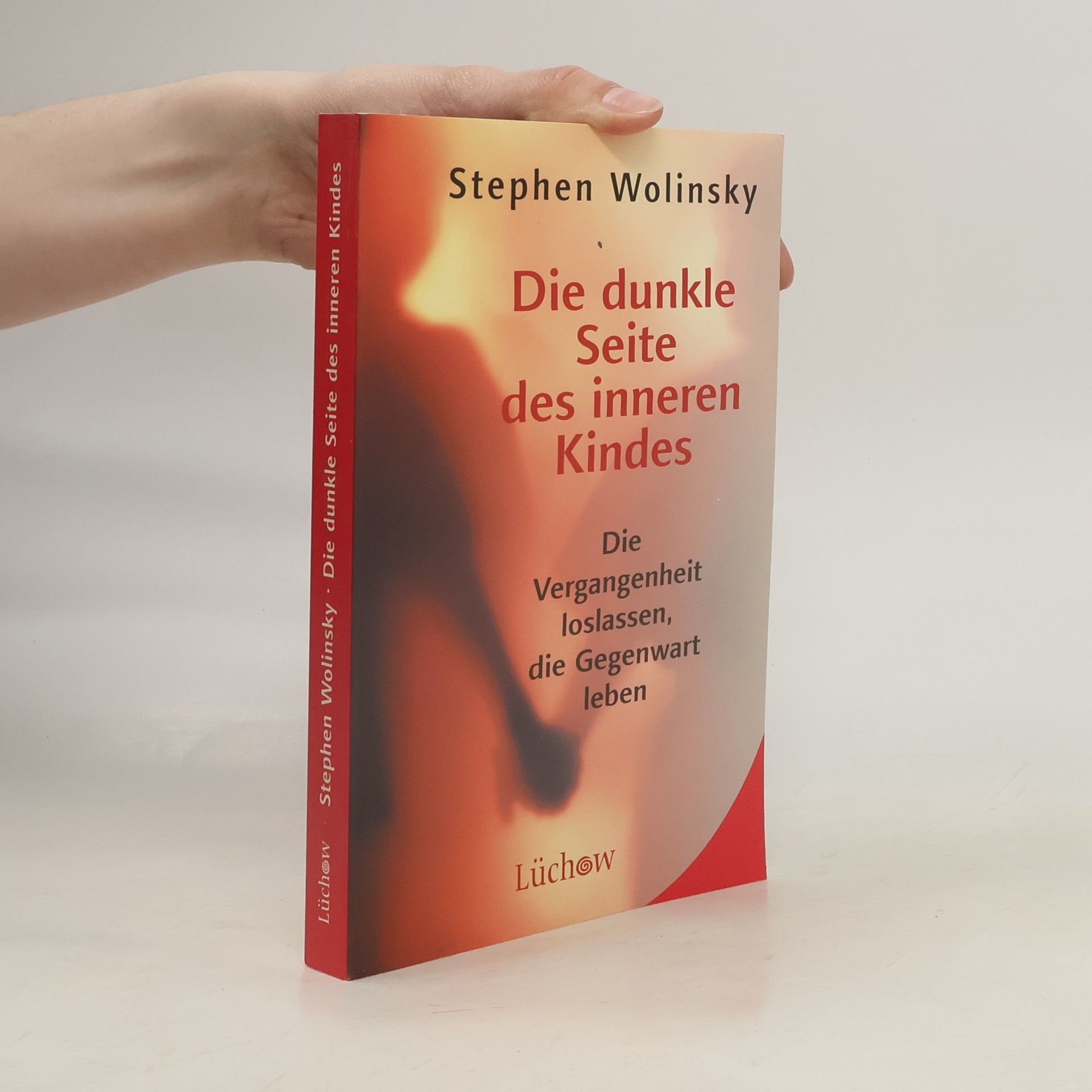 Stephen Wolinsky Die dunkle Seite des inneren Kindes