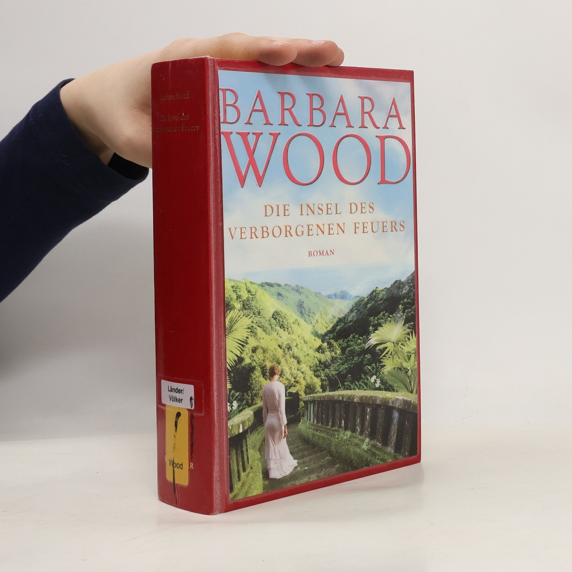 Barbara Wood Die Insel des verborgenen Feuers