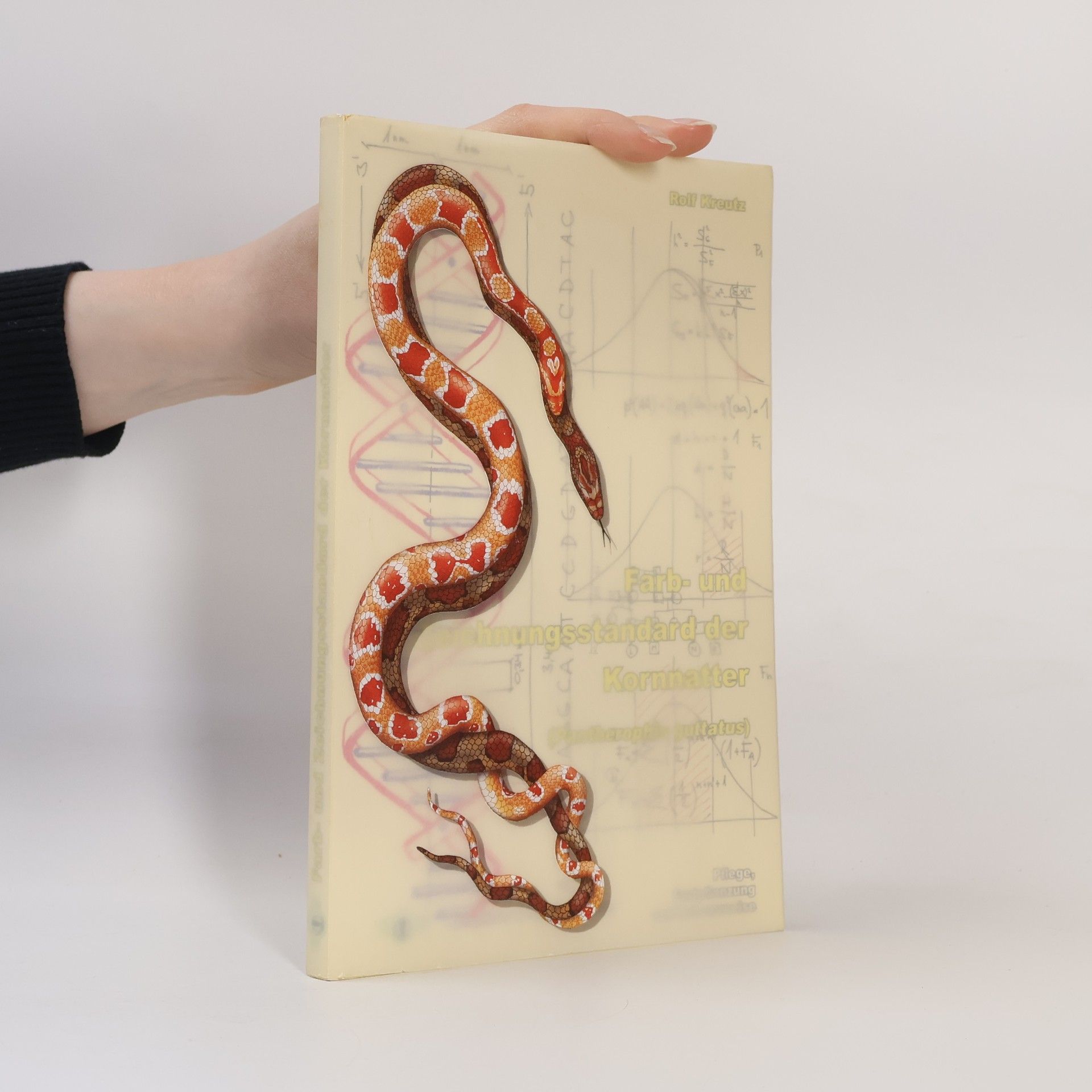 Rolf Kreutz Farb- und Zeichnungsstandard der Kornnatter (Pantherophis guttatus)