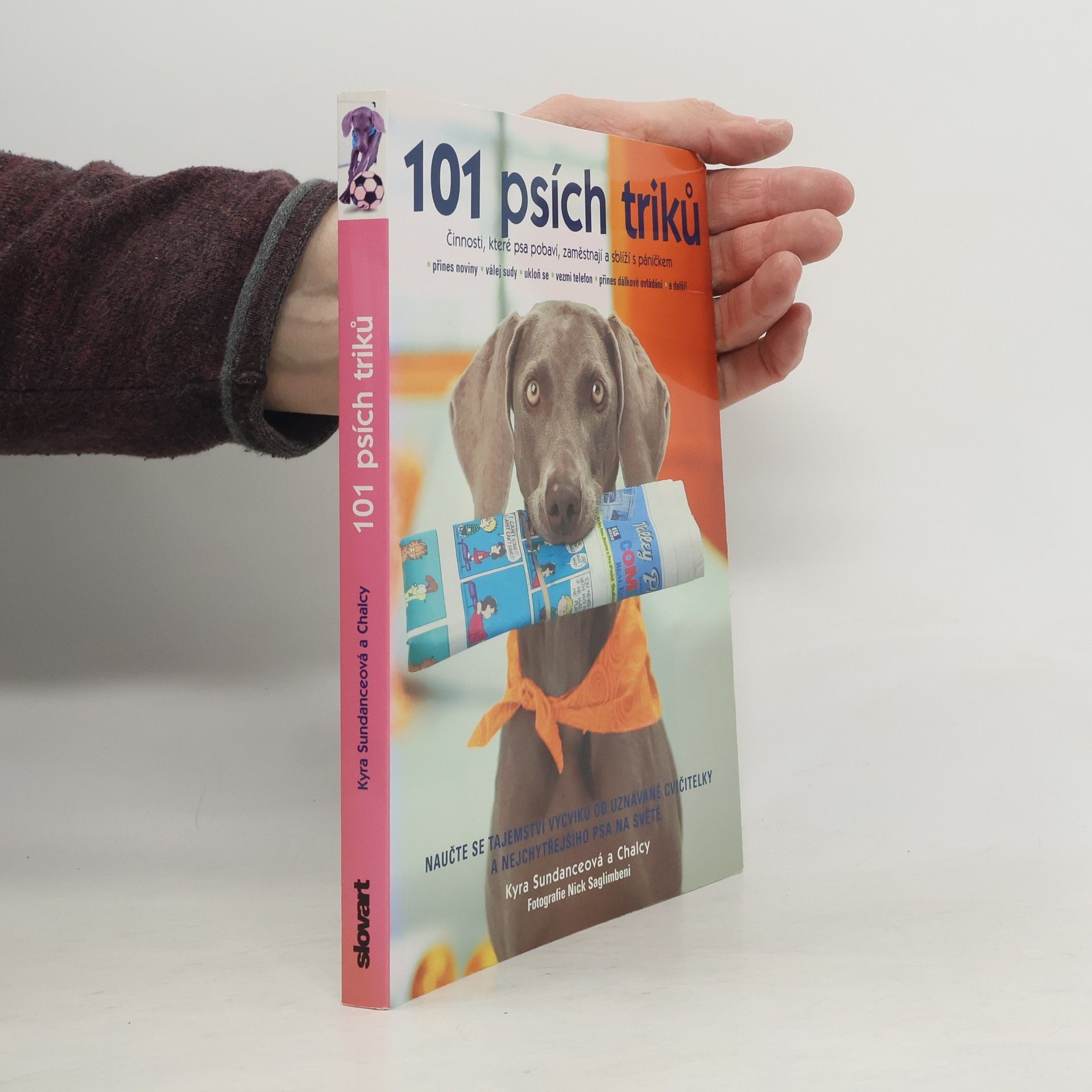 Kyra Sundance 101 psích triků : činnosti, které psa pobaví, zaměstnají a sblíží s páníčkem - krok za krokem