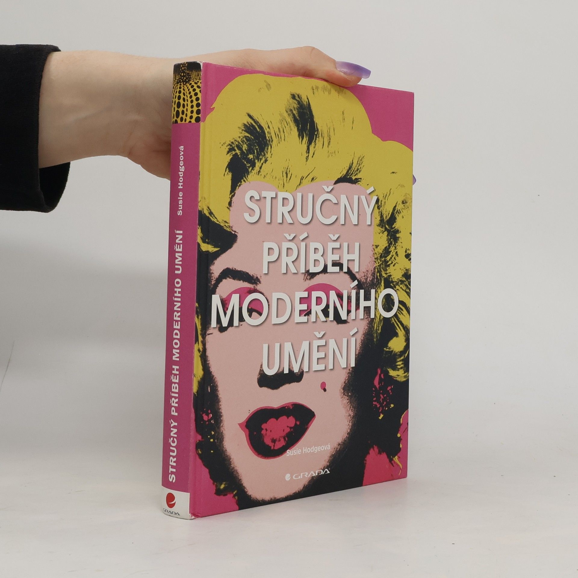 Susie Hodge Stručný příběh moderního umění