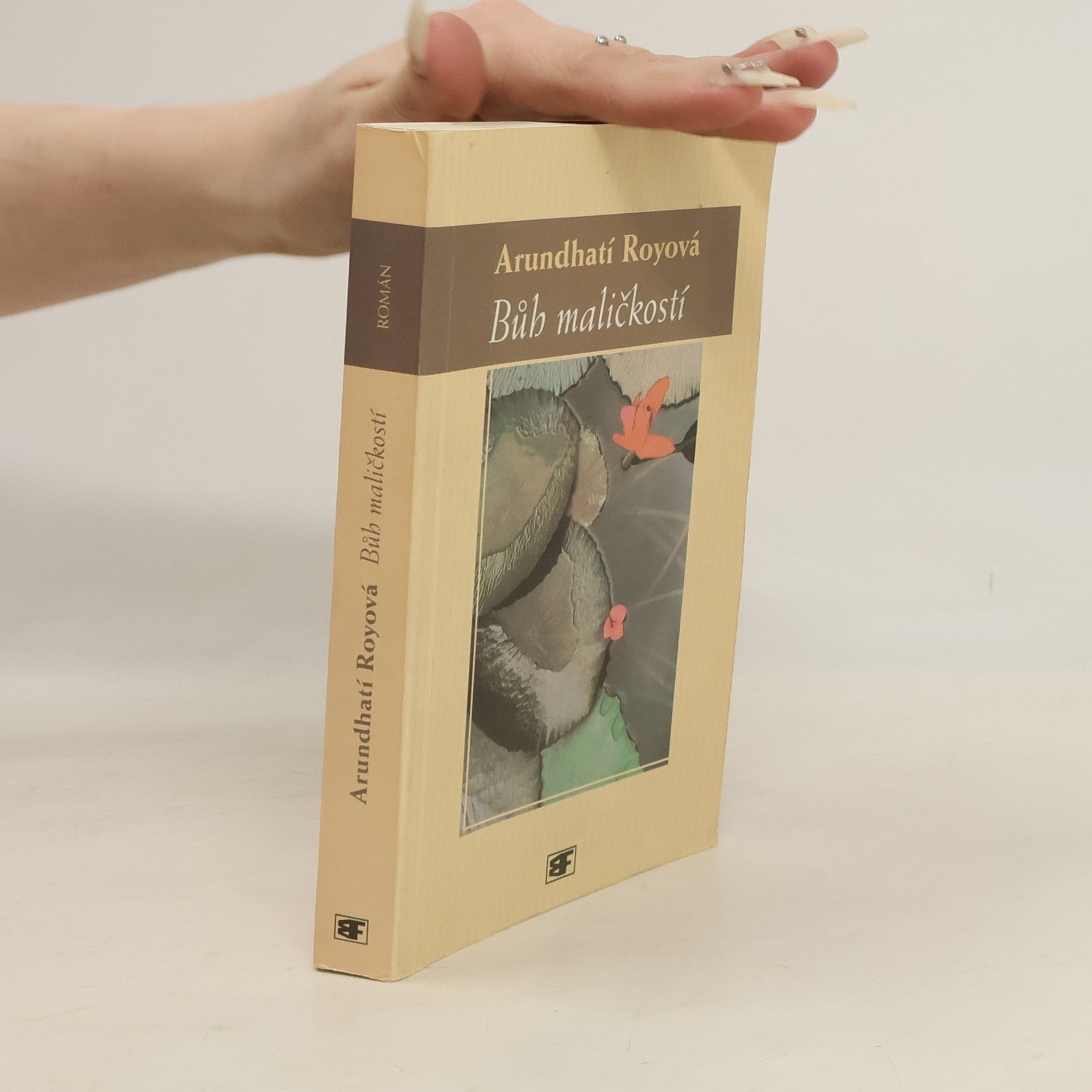 Arundhatí Roy Bůh maličkostí