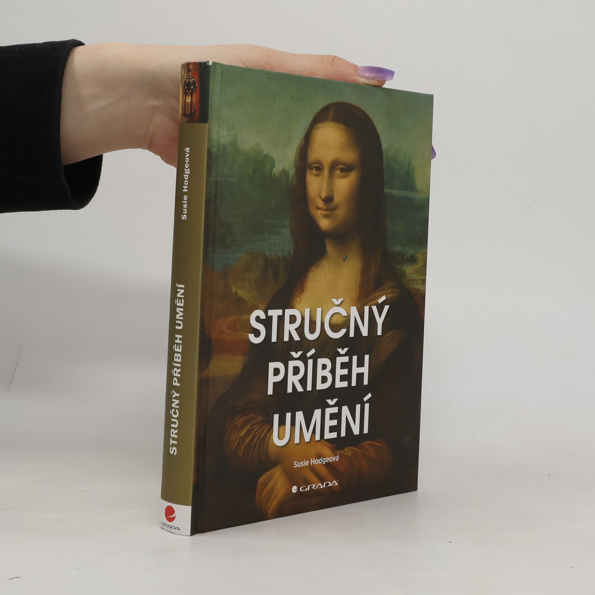 Susie Hodge Stručný příběh umění