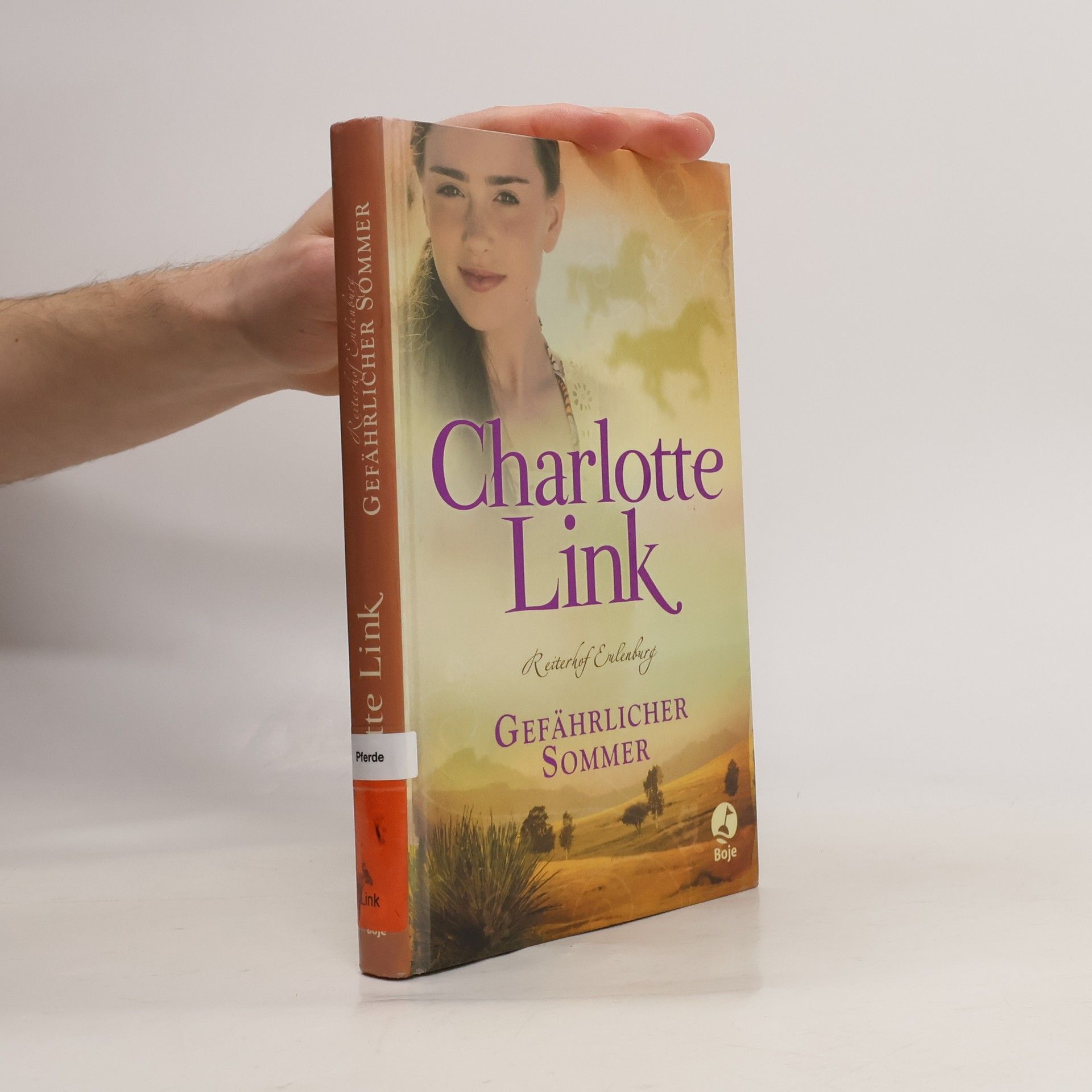 Charlotte Link Reiterhof Eulenburg - Gefährlicher Sommer