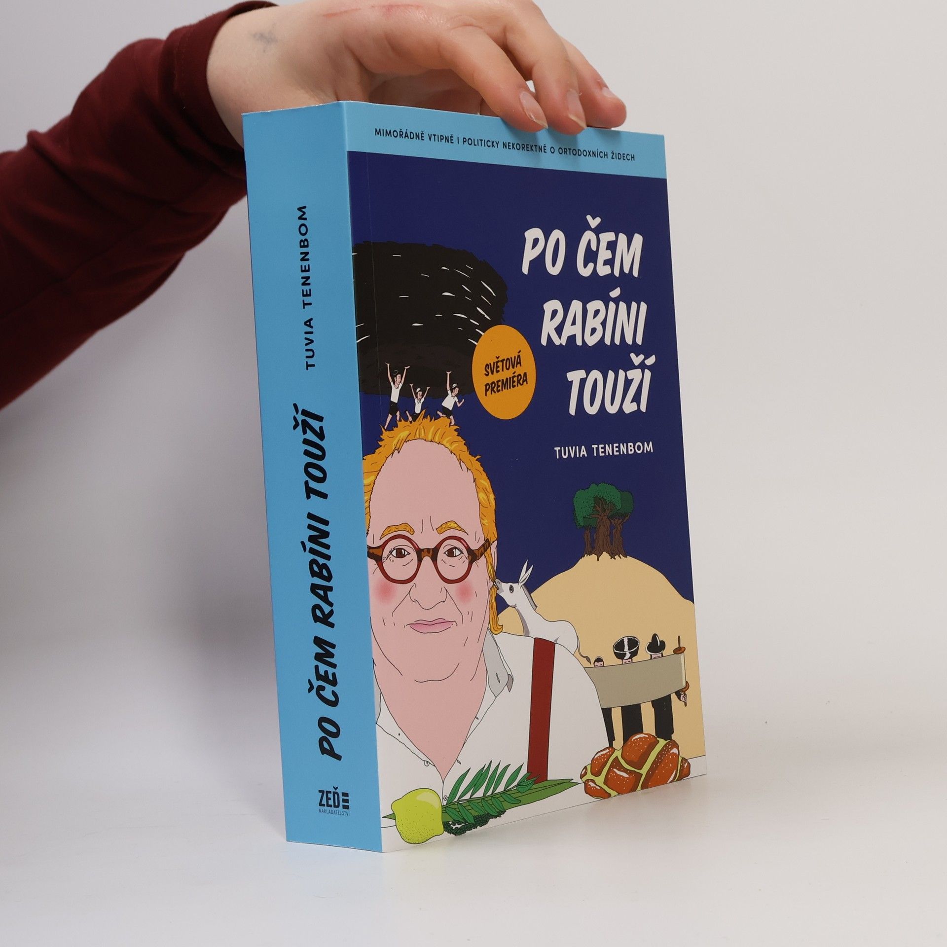 Tuvia Tenenbom Po čem rabíni touží : mimořádně vtipná i politicky nekorektní zpráva o ortodoxních Židech