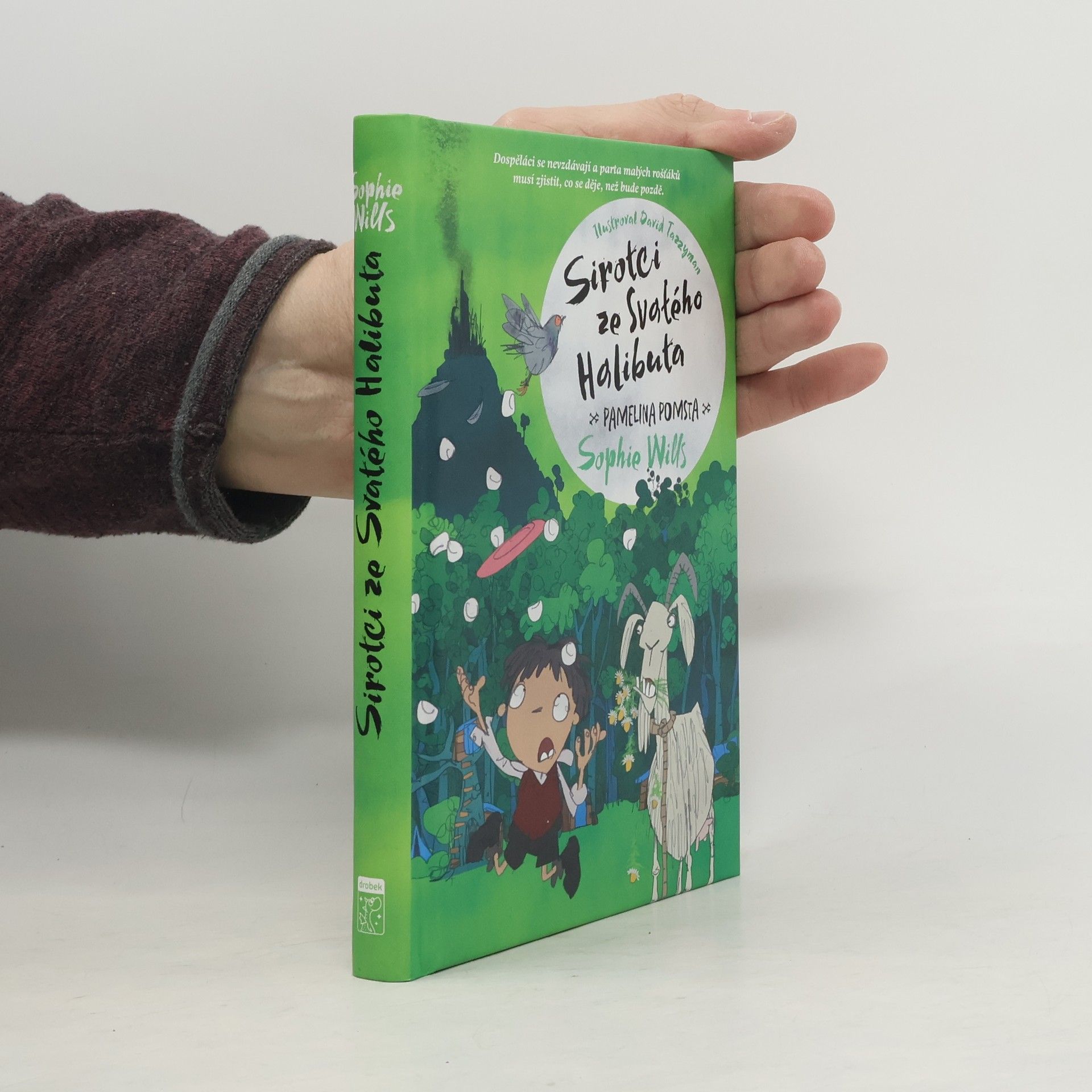 David Tazzyman Sirotci ze Svatého Halibuta. Pamelina pomsta