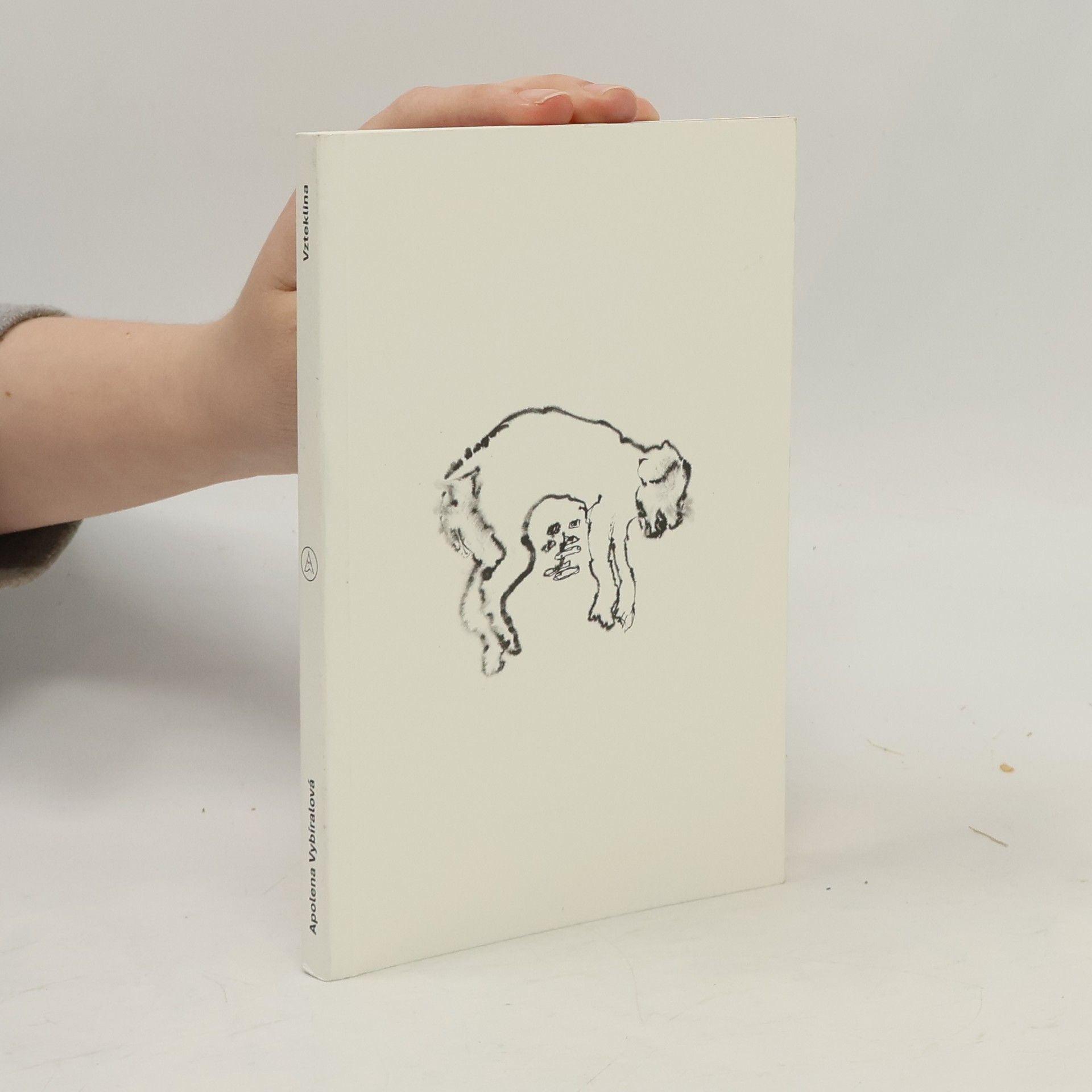 Apolena Vybíralová Vzteklina