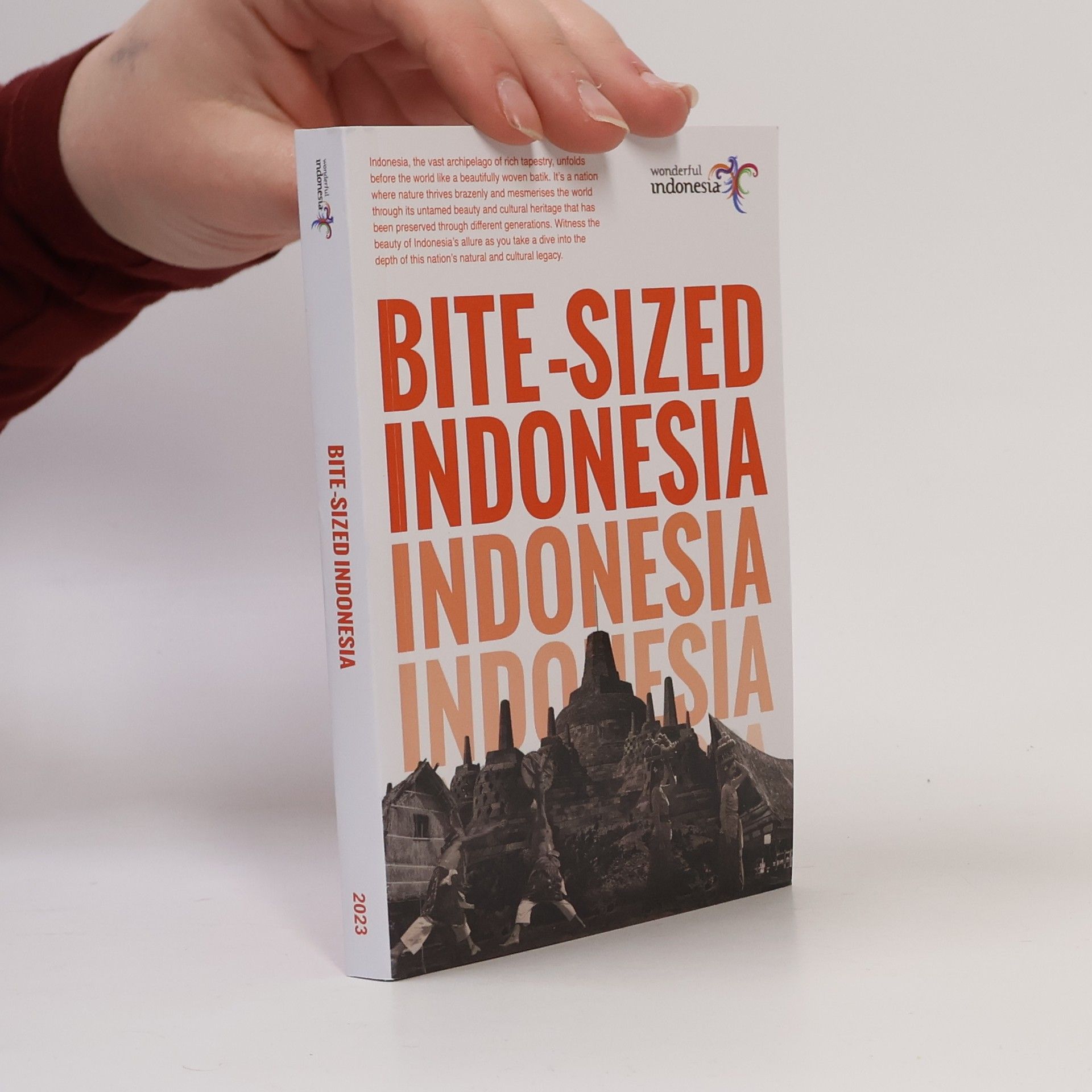 Autorenkollektiv Bite-Sized Indonesia