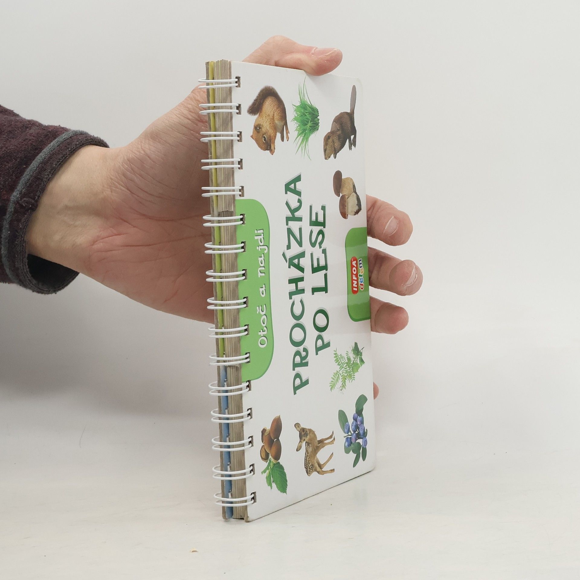 Kolektiv autorů Procházka po lese