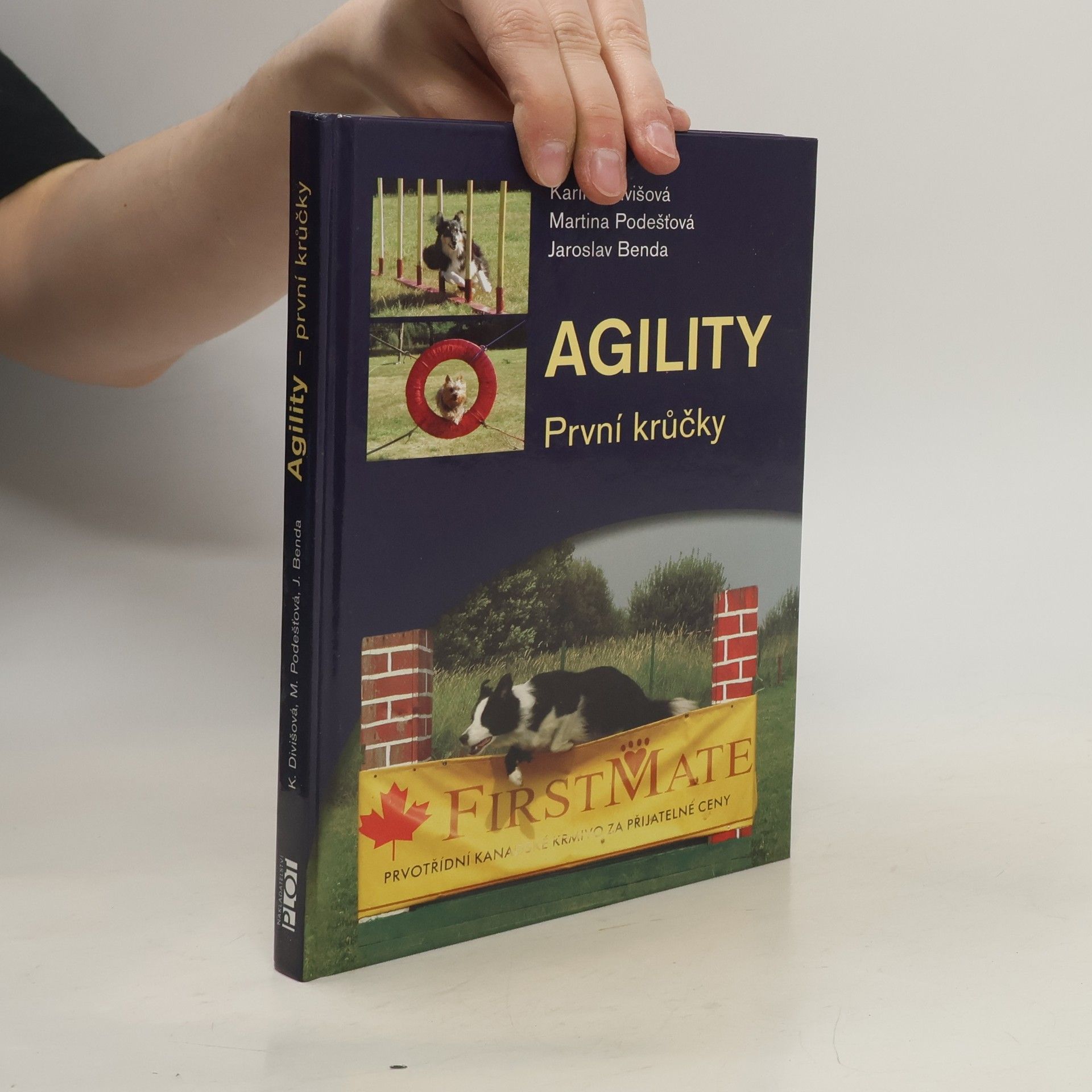 Agility: První krůčky
