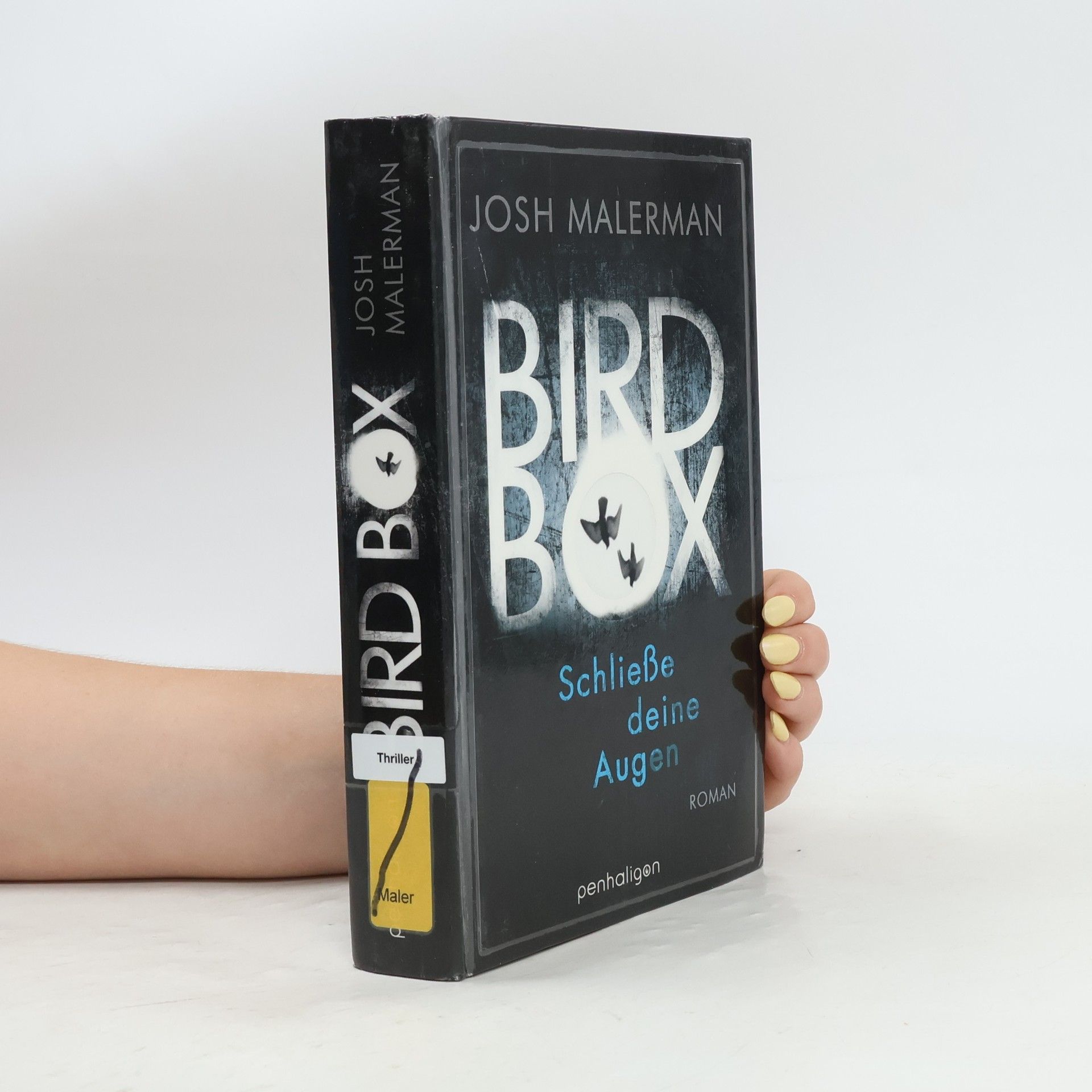 Josh Malerman Bird Box