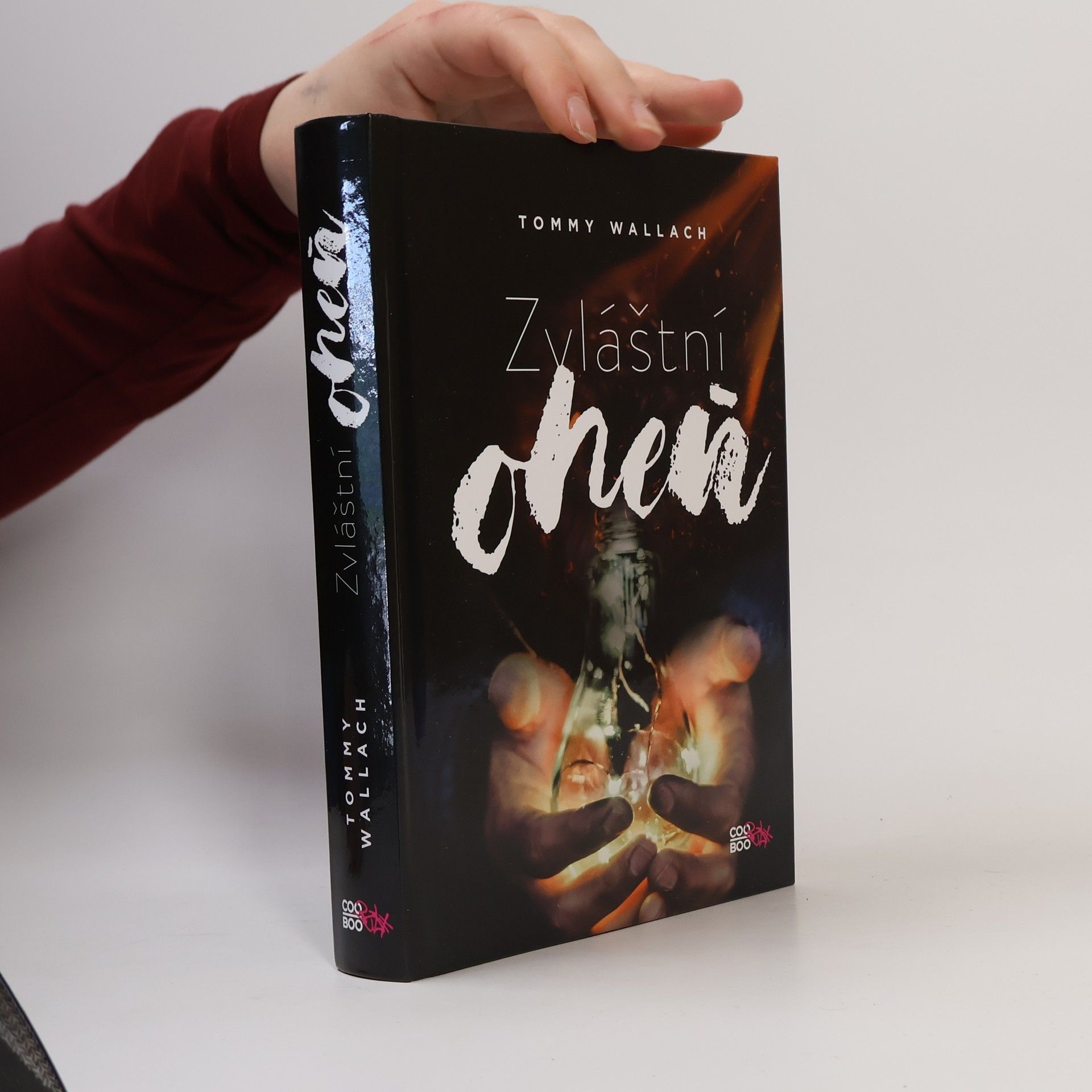 Tommy Wallach Anchor a Sophie. Kniha první, Zvláštní oheň