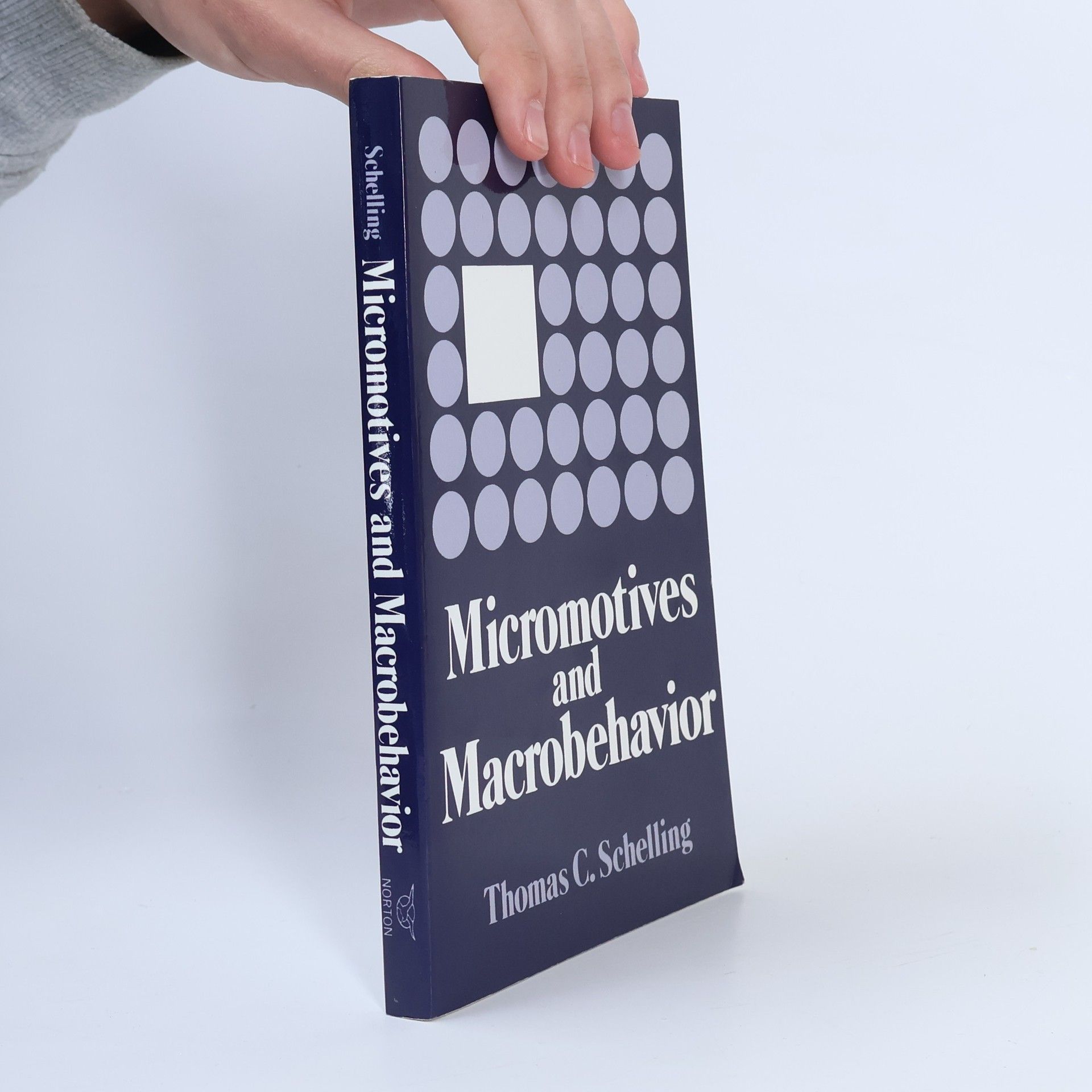 Thomas Schelling Micromotives and Macrobehavior